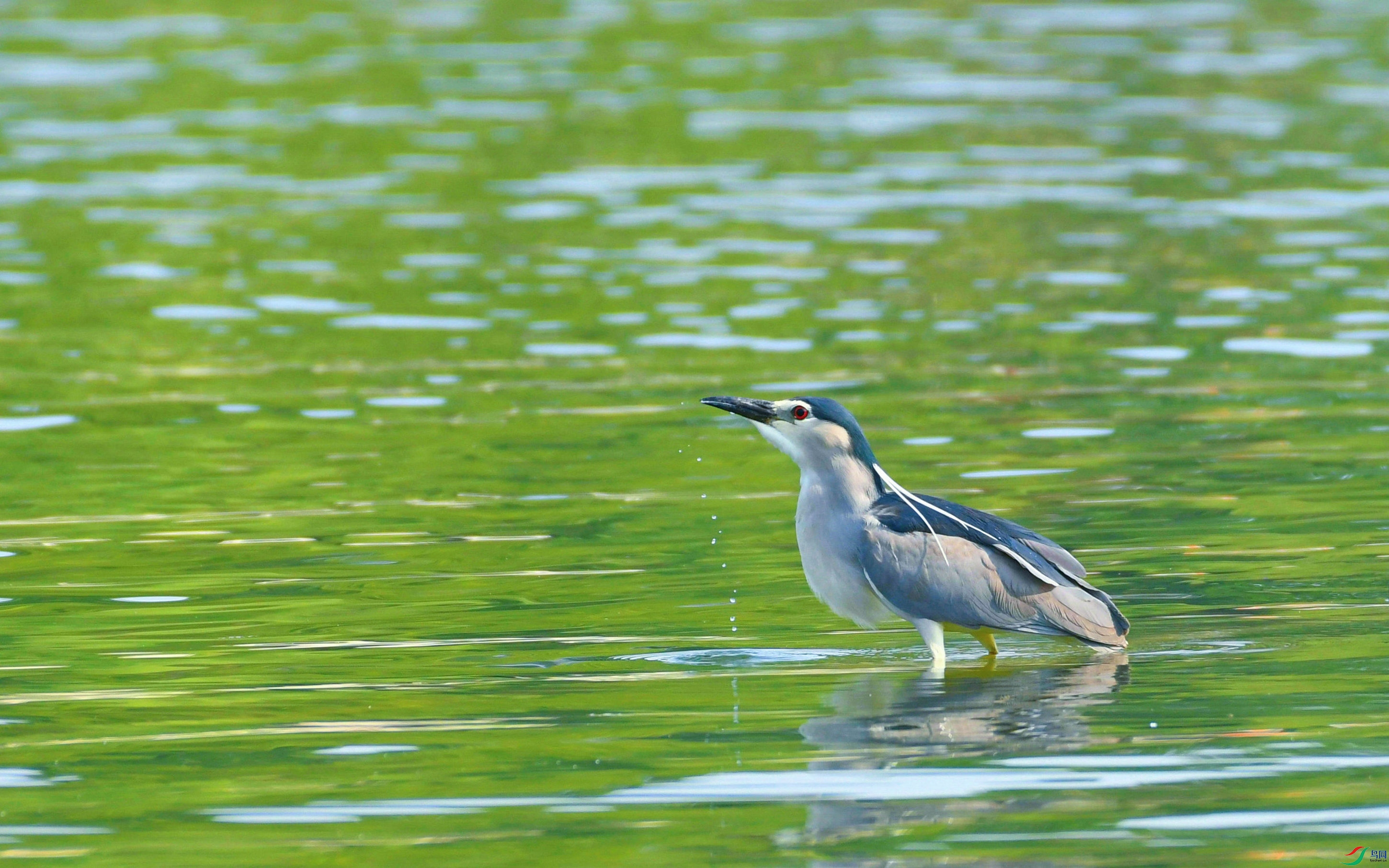 DSC_9254.JPG