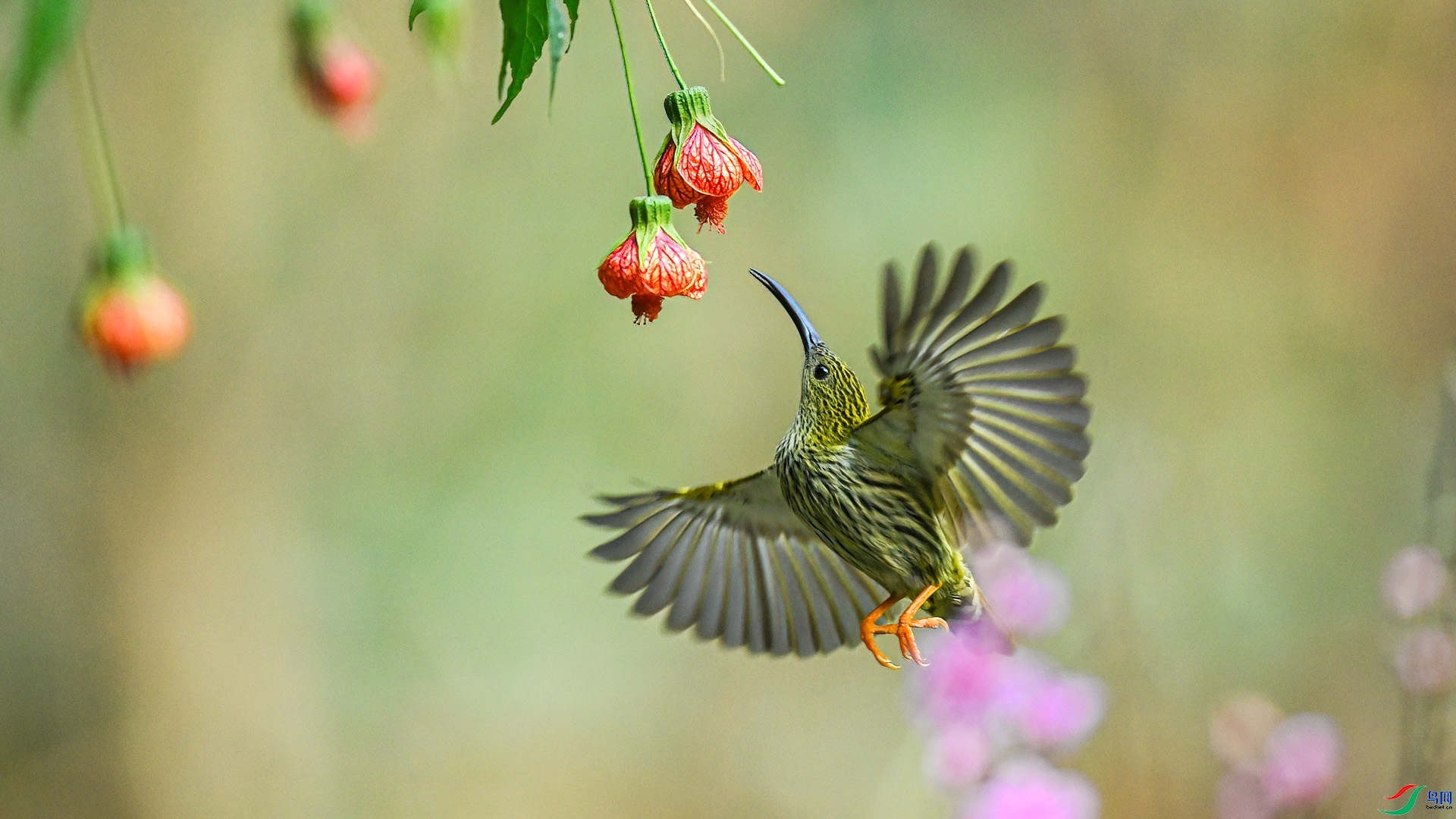 �˹���  ������.jpg