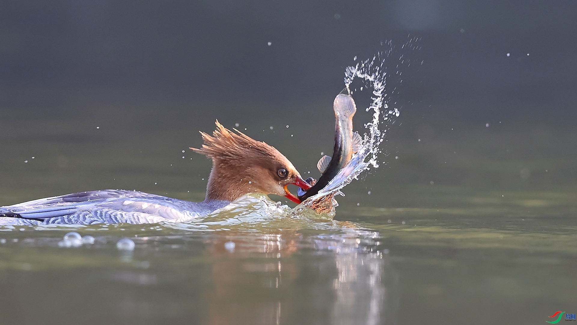 ����  ������.jpg