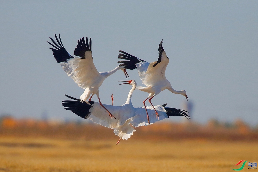 ����  �׺�.jpg