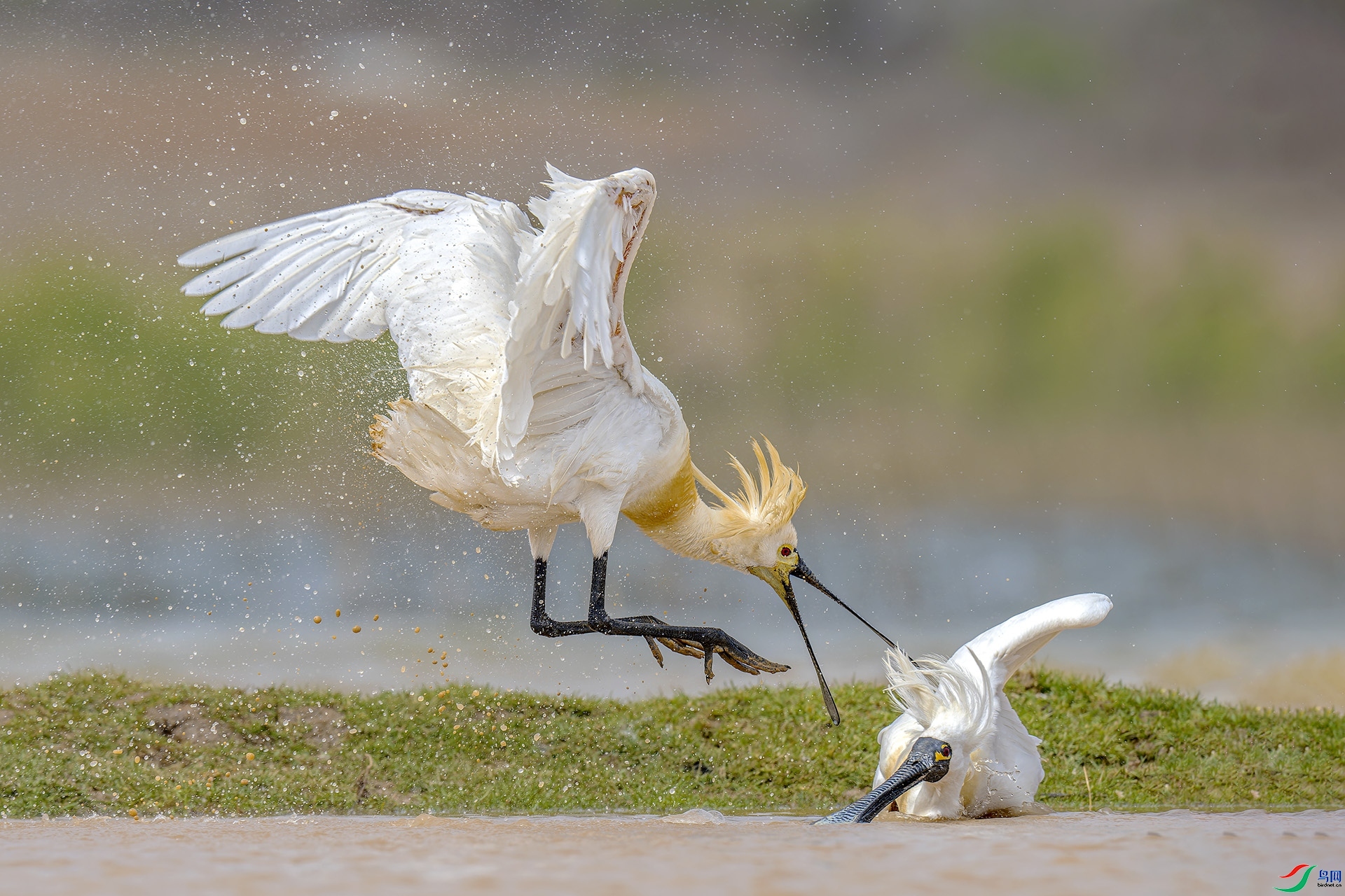 ���ϴ�  ����.jpg