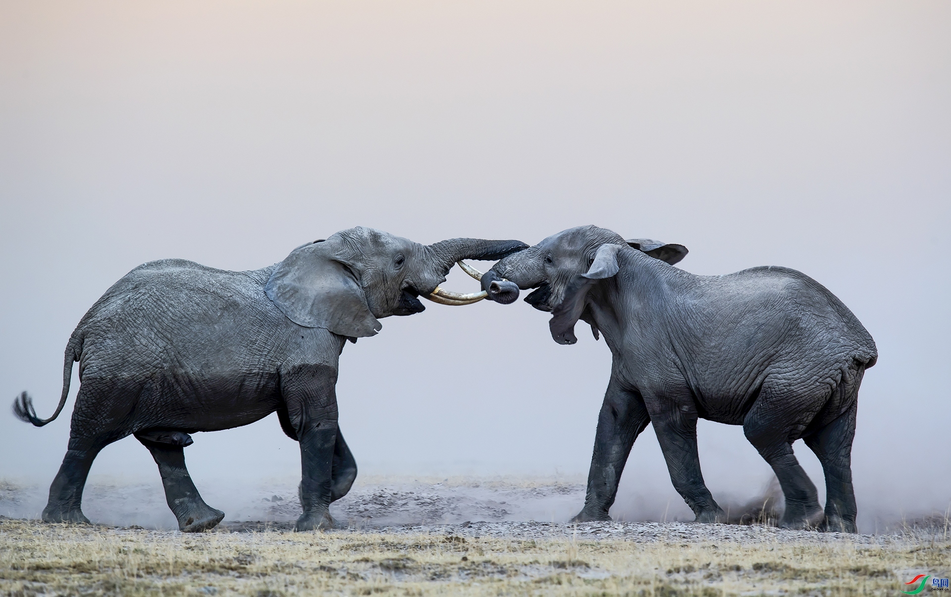 �ϱ��´�xa  �ѽ��ѷ�.jpg