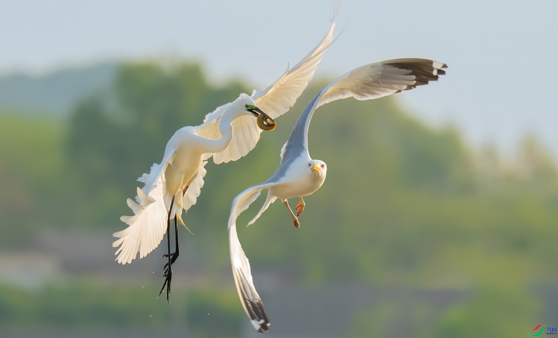 ³�Ĵ�  �Ż�����.jpg