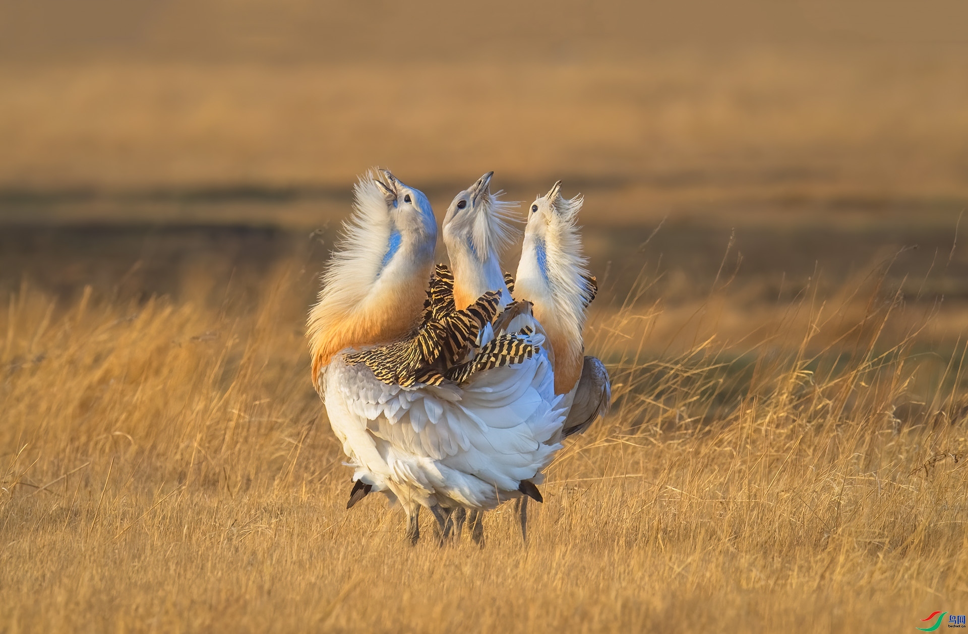 ��ҶW   �����.jpg