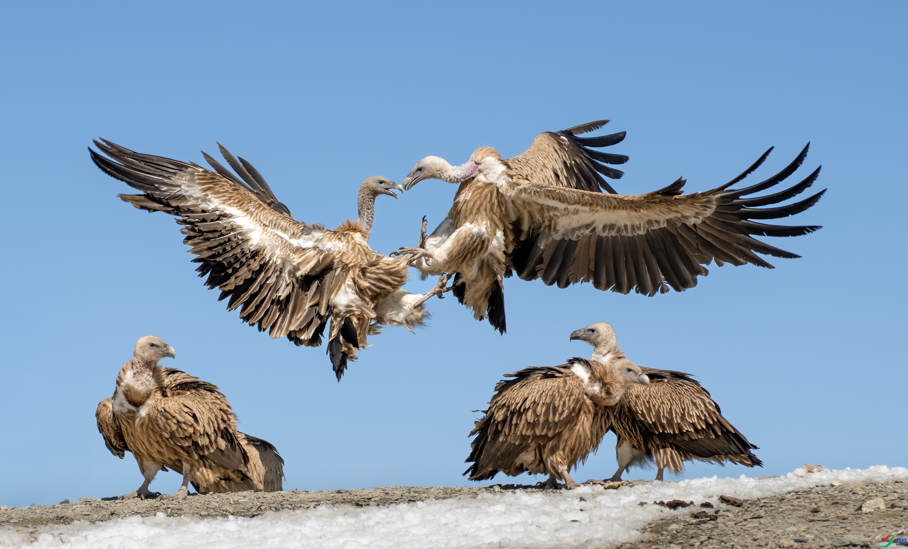 ��Ͽ֮��  ��ս.jpg