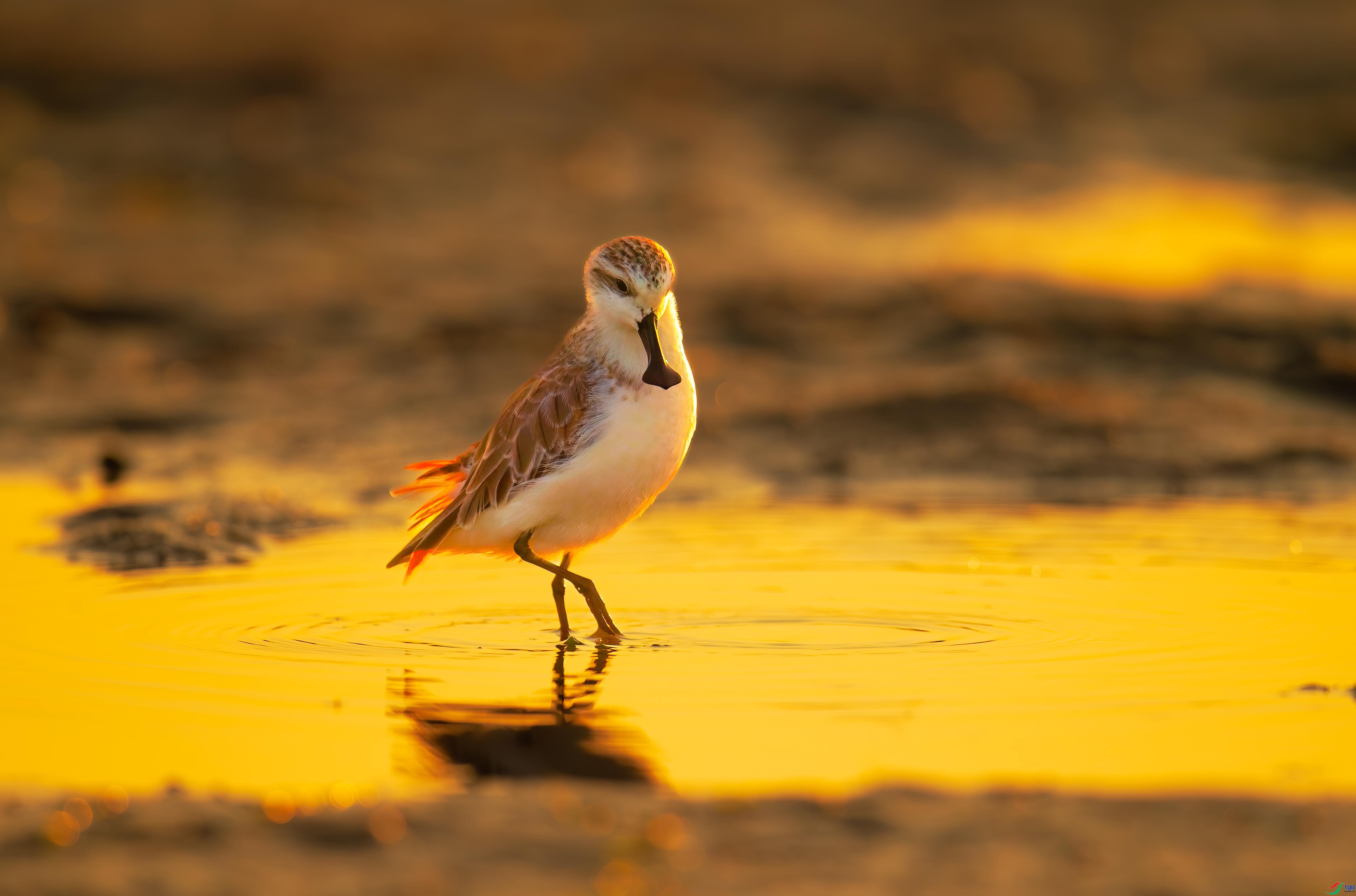 ��ҶW  ��ԡ����.jpg