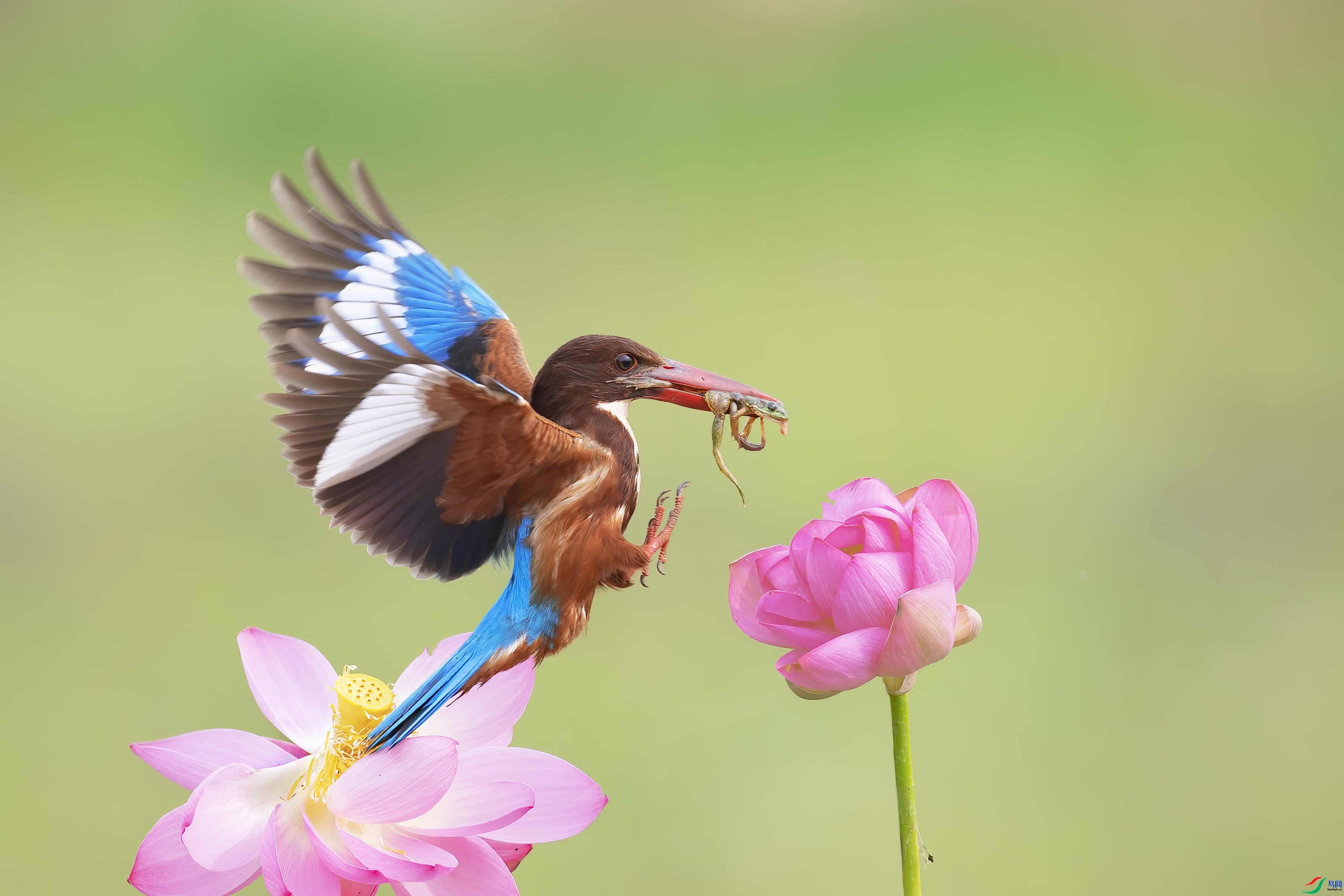 С����  ���صǺ�.jpg