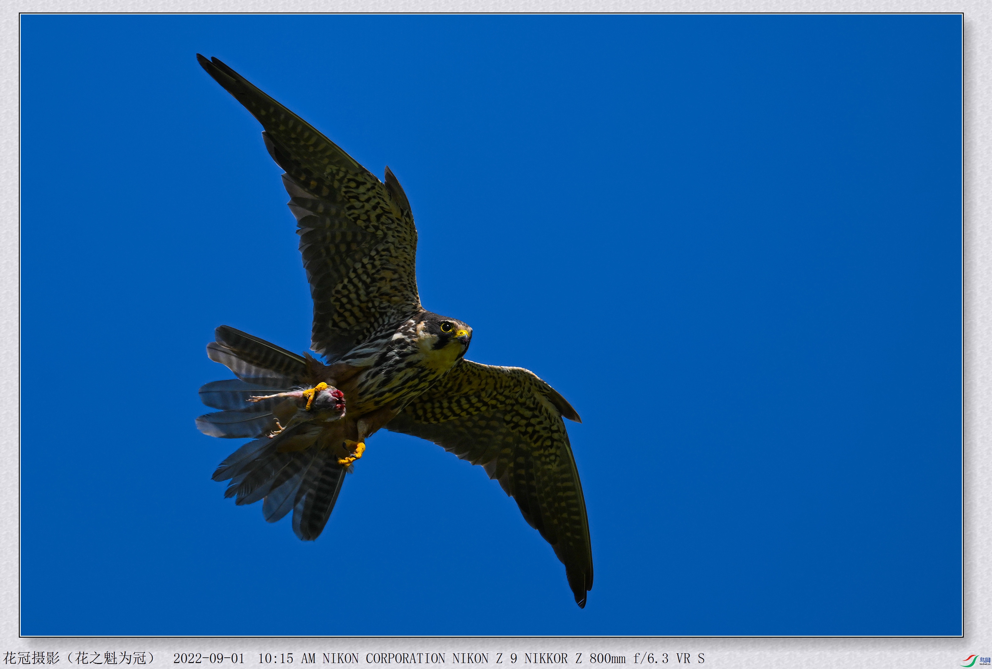DSC_7777B-2_����.jpg
