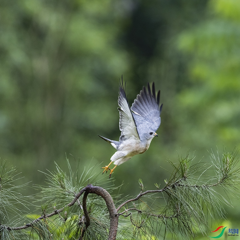 2F5A0719 ����.psd3.jpg