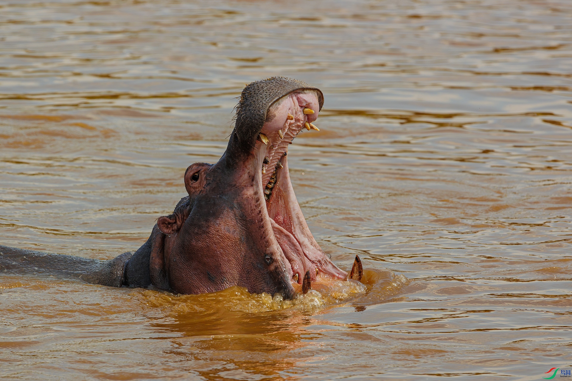 IMGL1460 ����.jpg