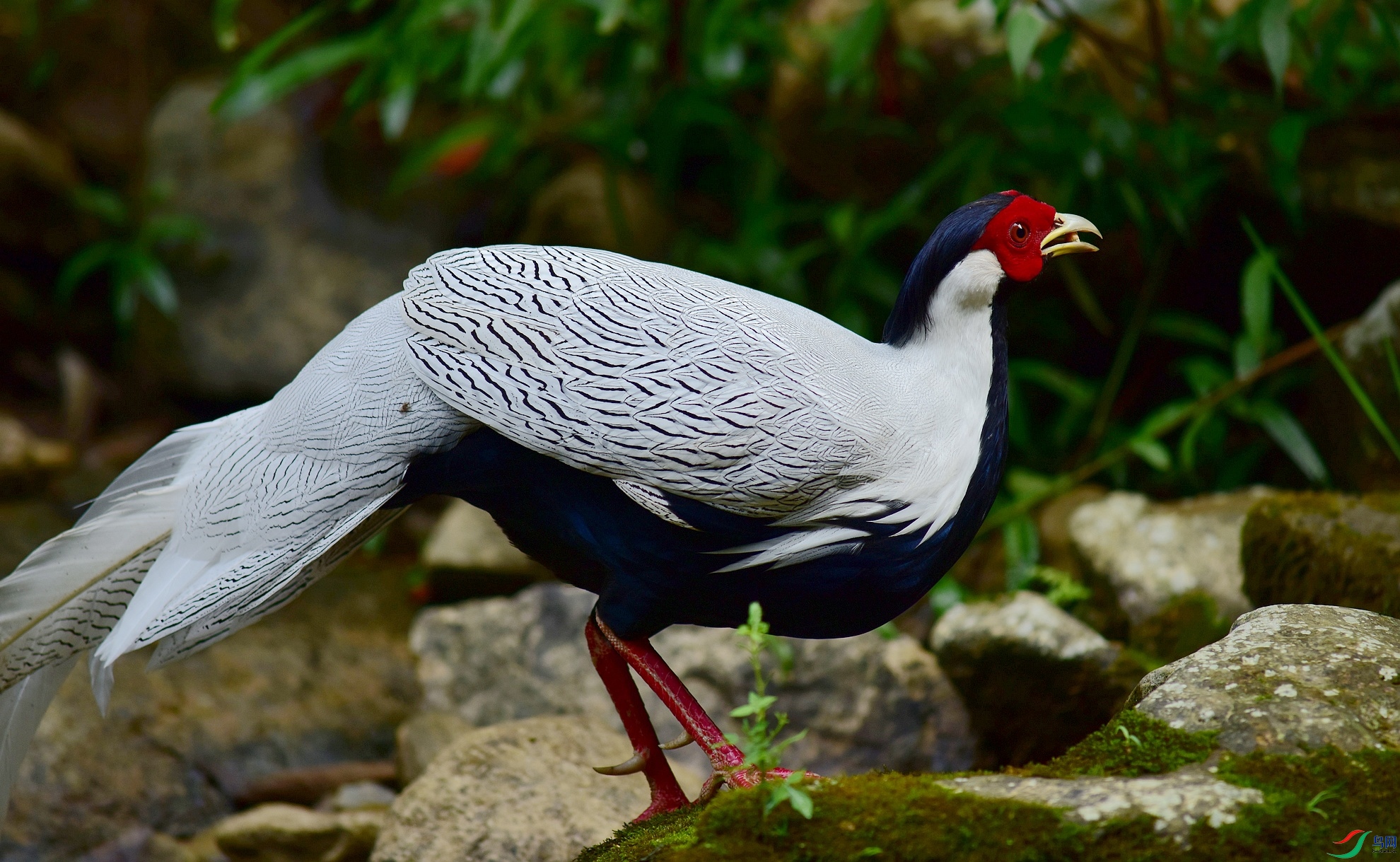 D8I_3990.jpg