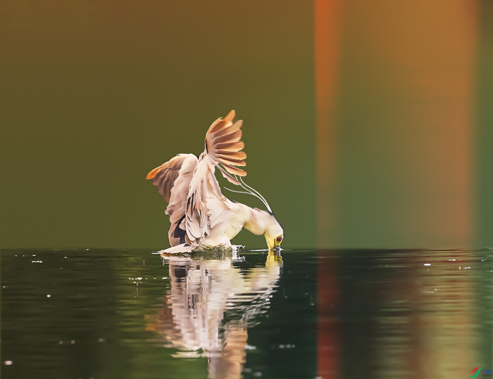 019A2150 ����.jpg