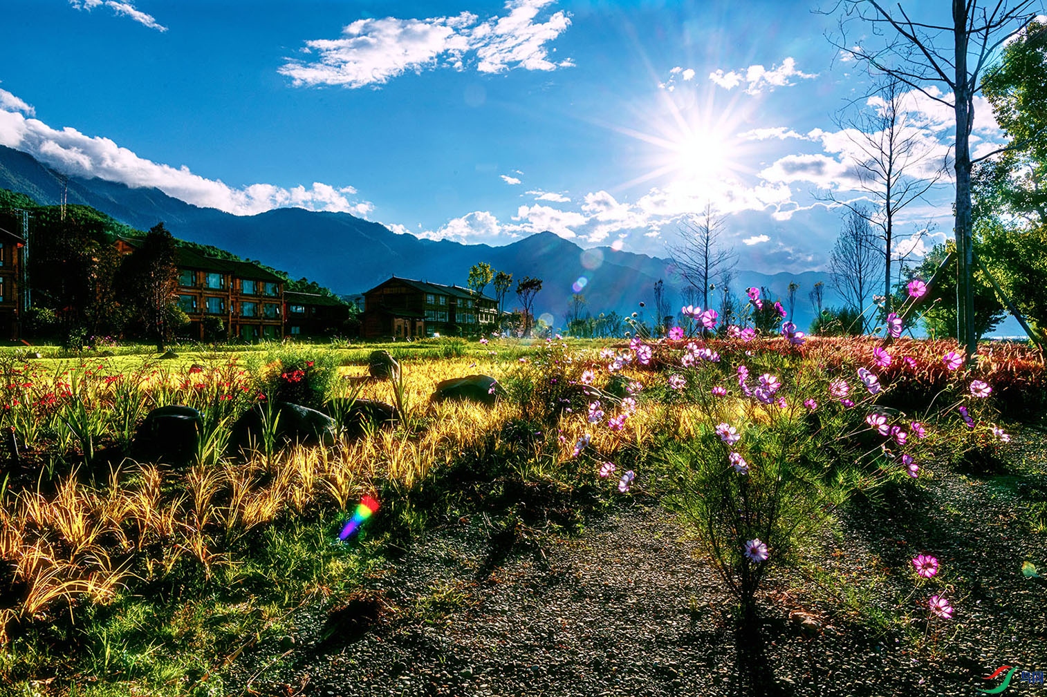 ���������������ͷ