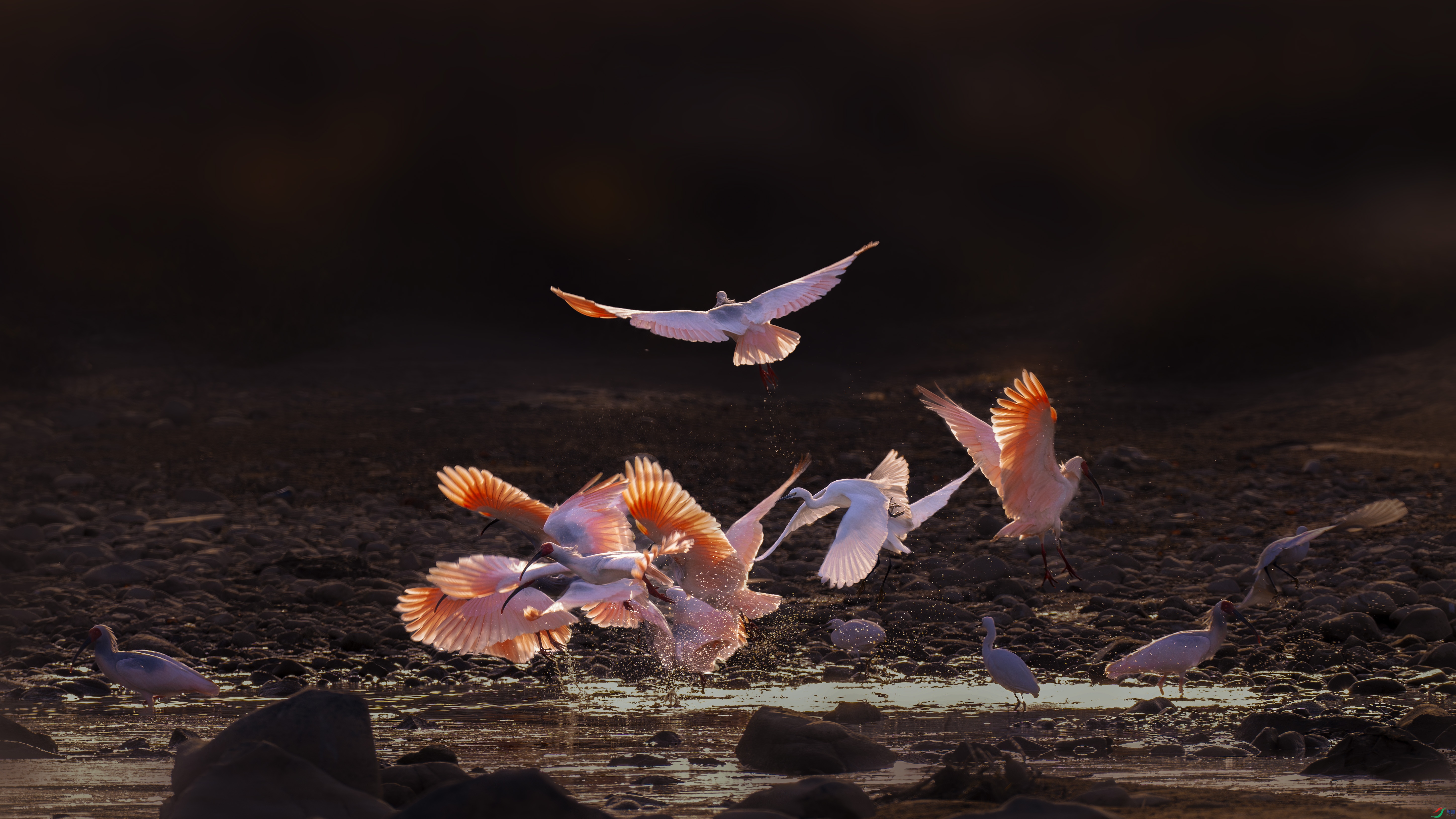 ��ɢ��1�� DSC09360.jpg