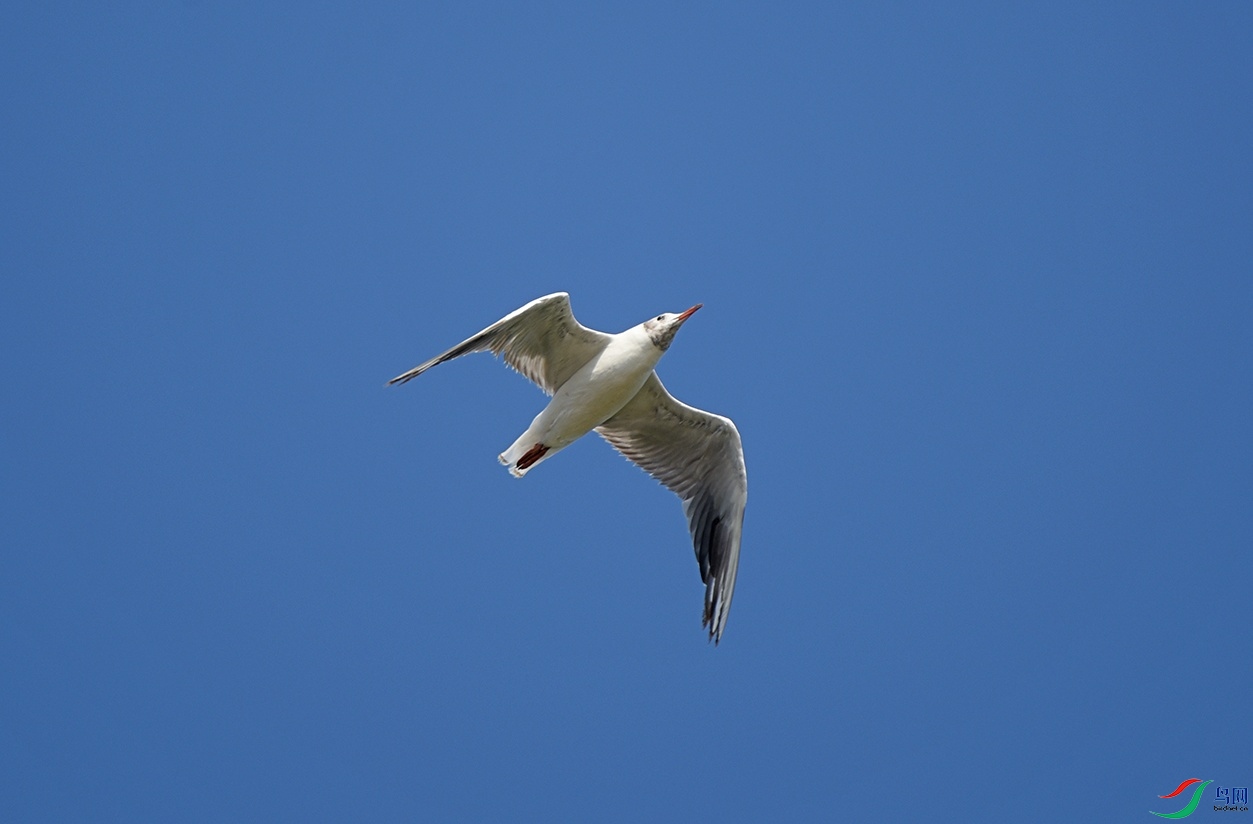 DSC_0958.jpg