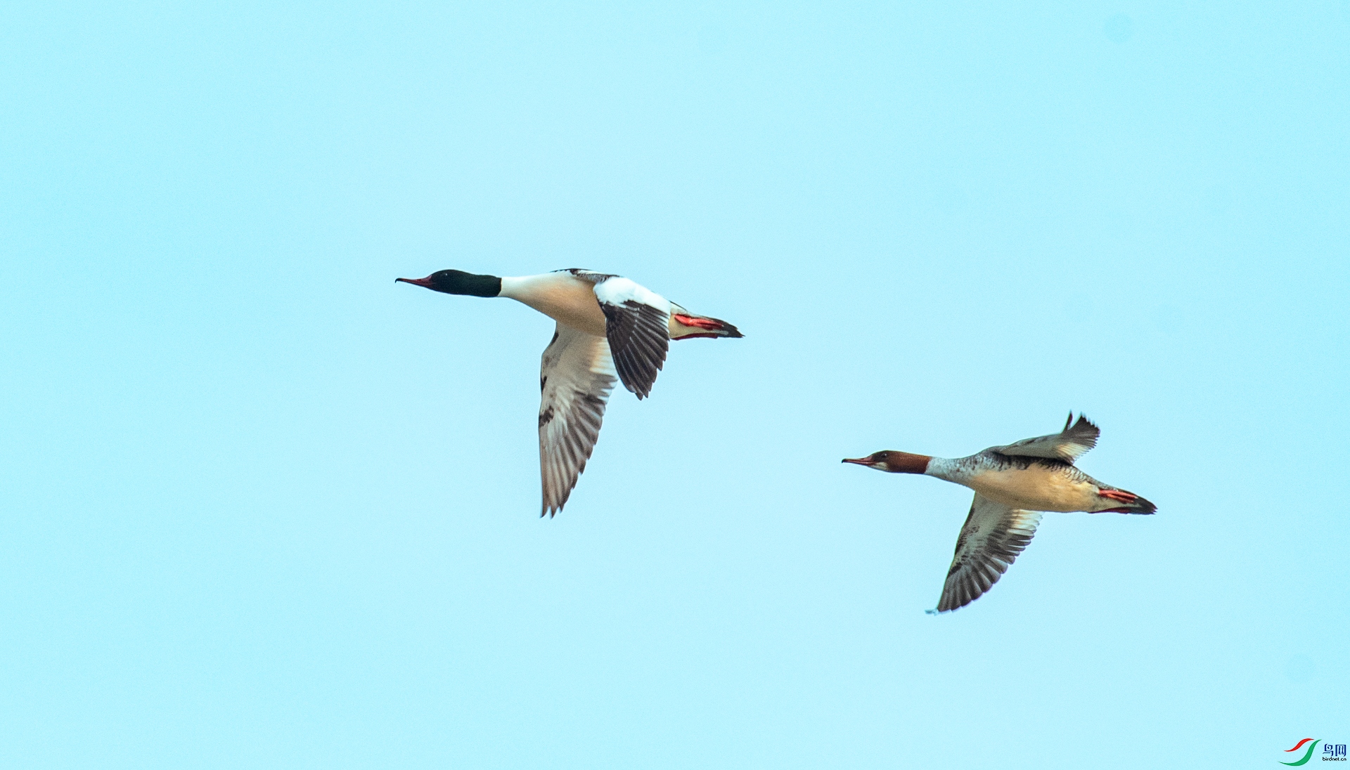 DSC_9626.jpg