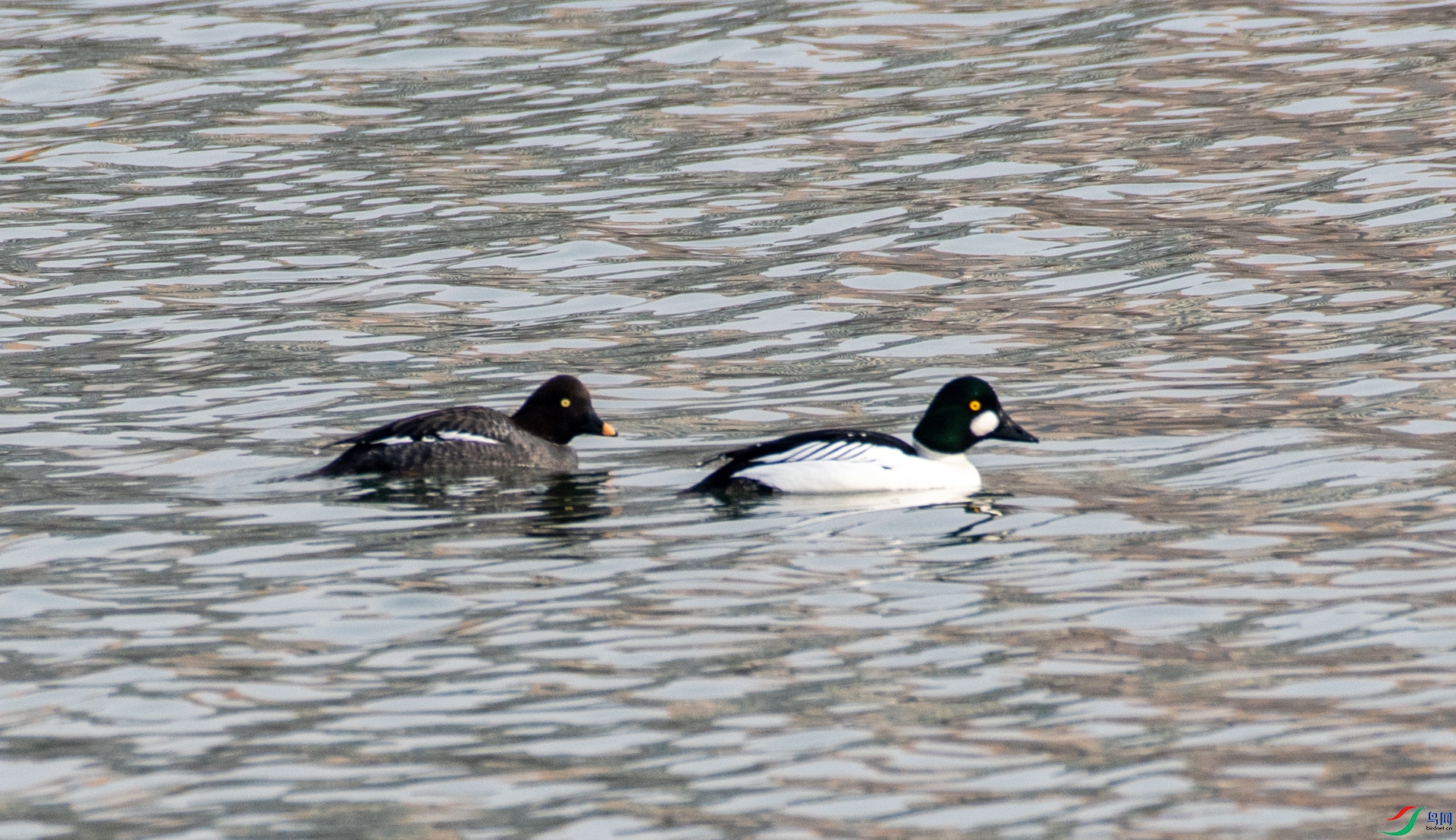DSC_9700.jpg