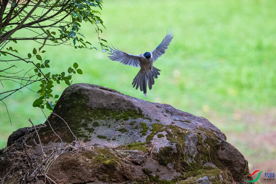 DSC_5093a.jpg