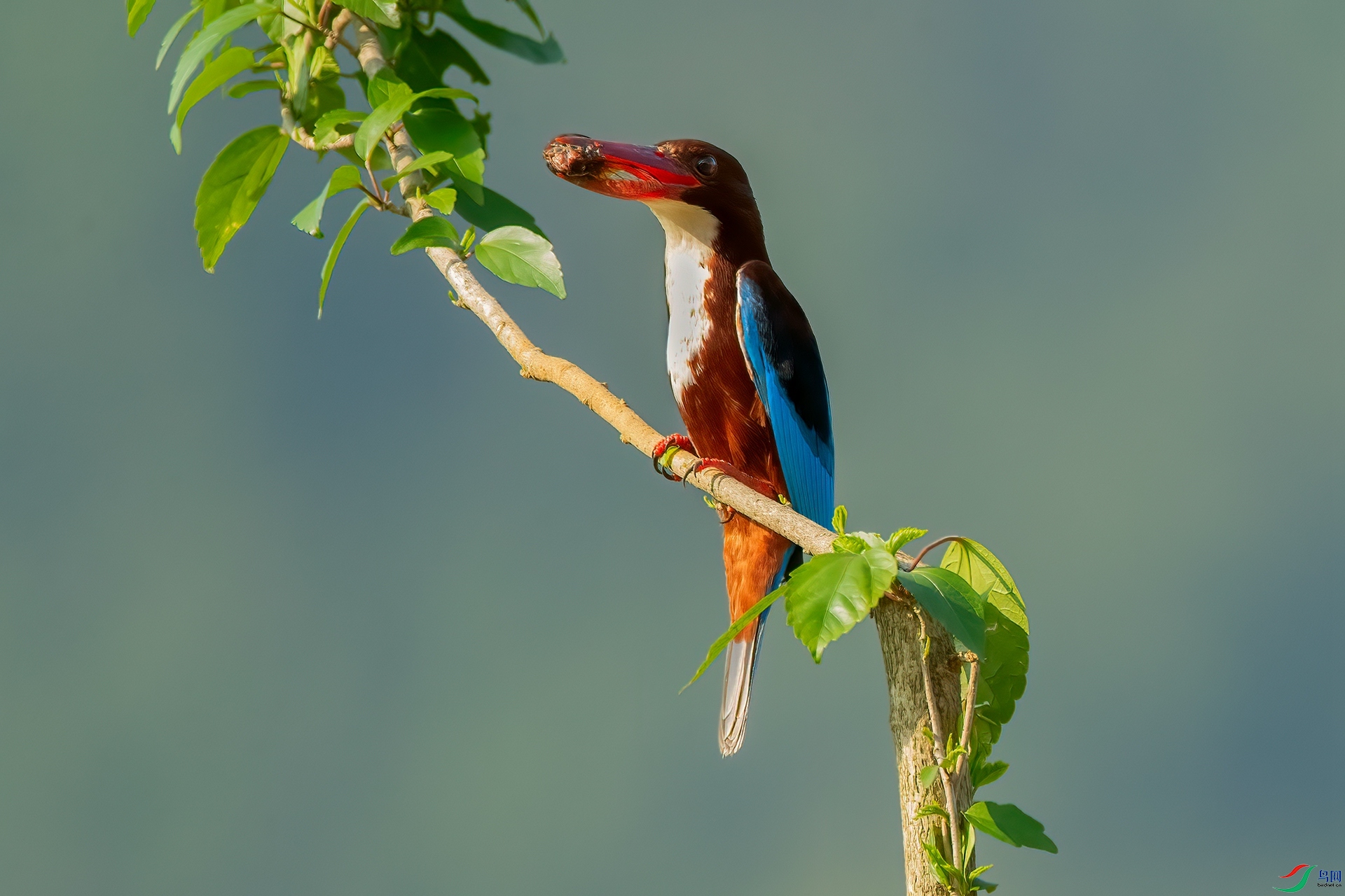 B86I5666 _����.jpg