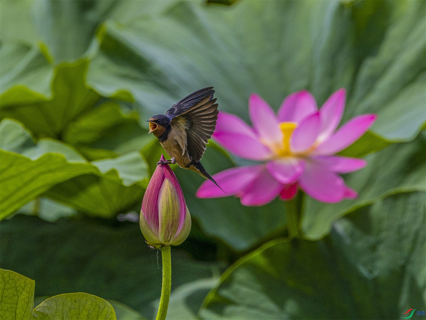 1K3A4983 ����1.jpg