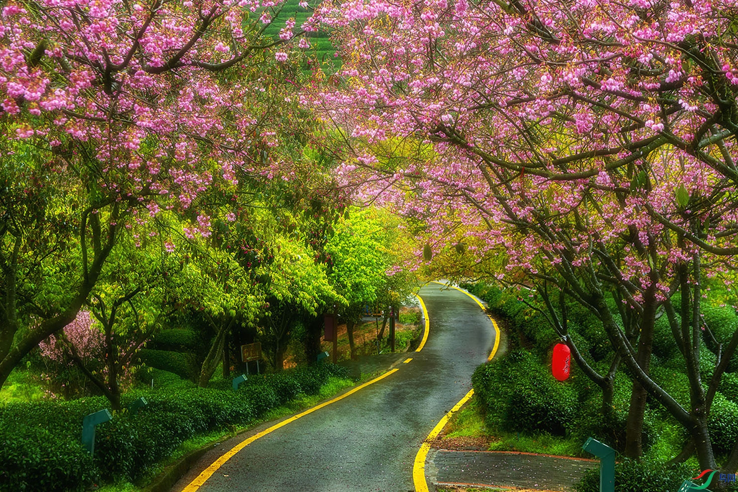 ���е�����ӣ��԰