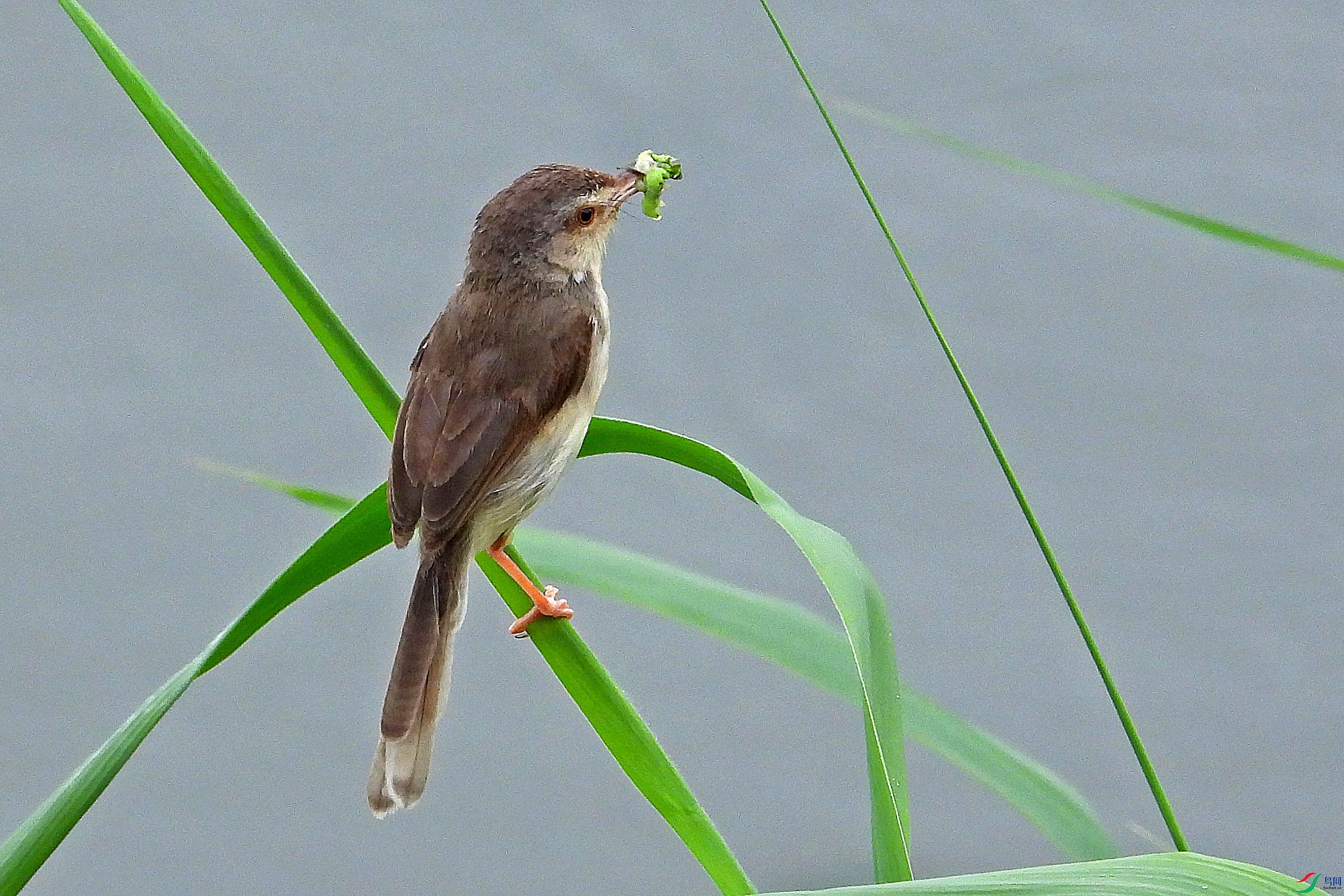 DSCN7895.JPG