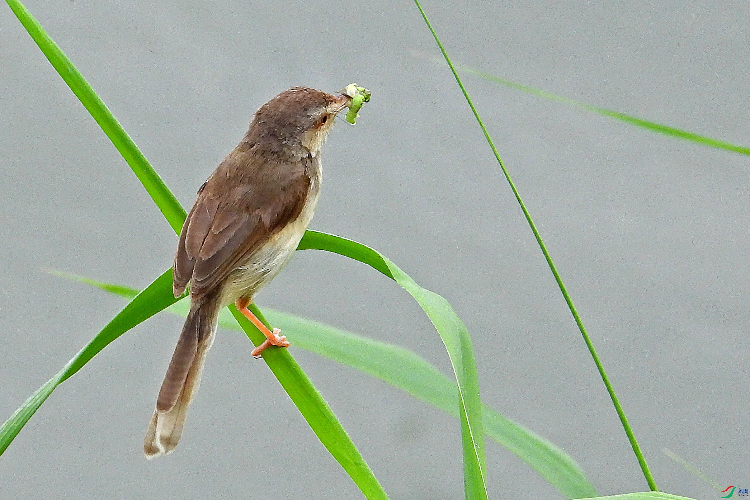 DSCN7896.JPG