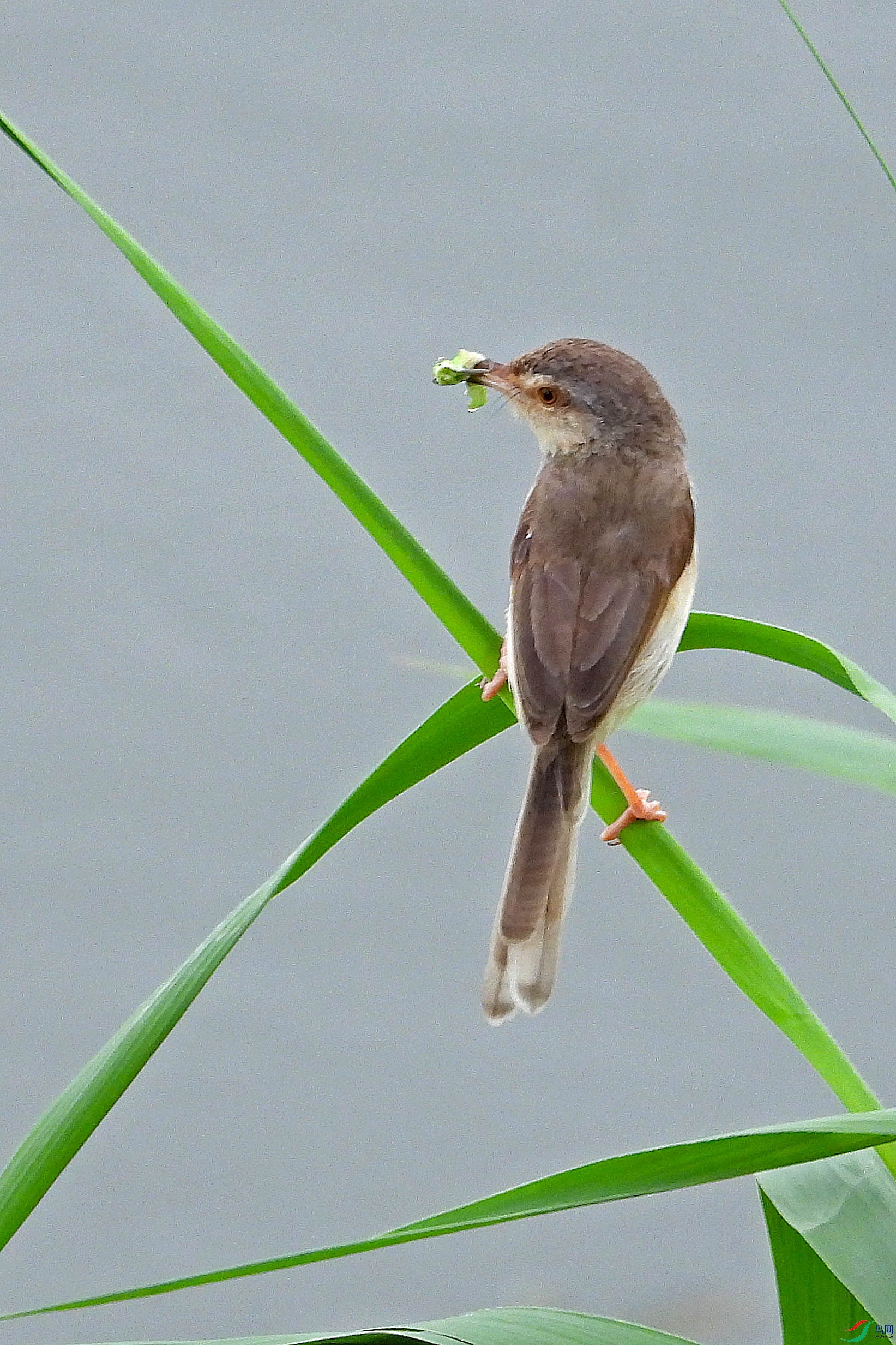 DSCN7890.JPG