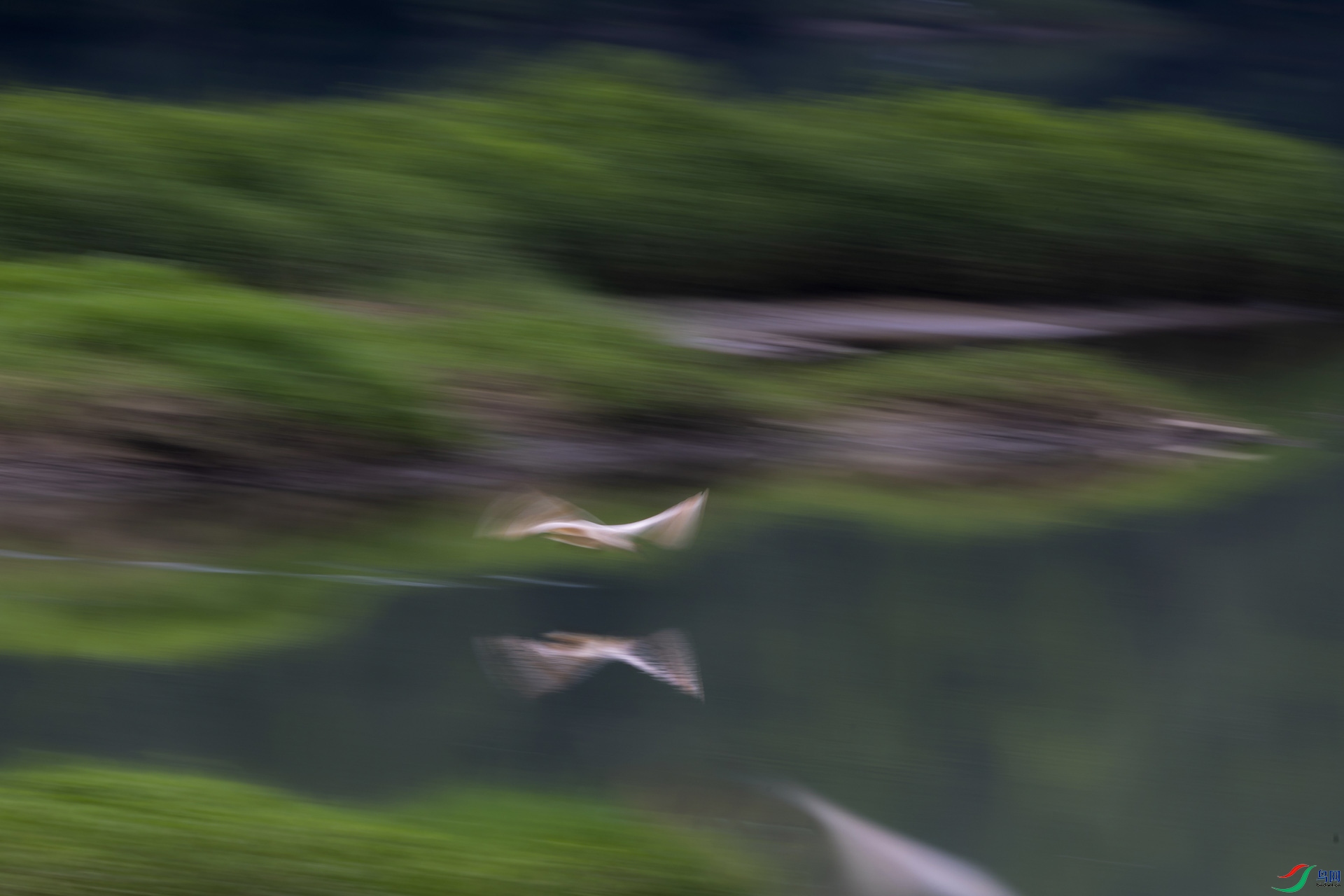 ��ɴ����