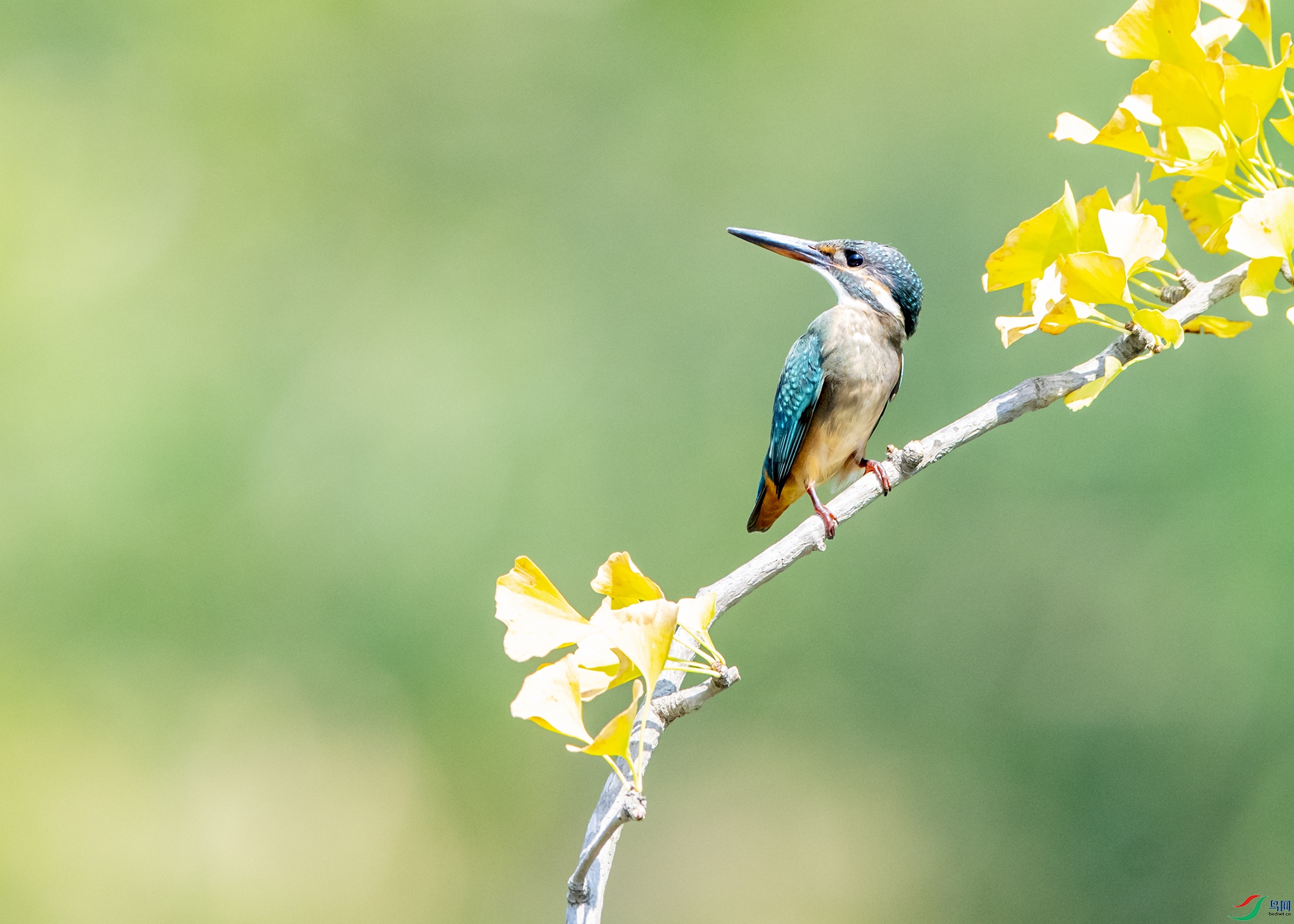 0116 ����.jpg