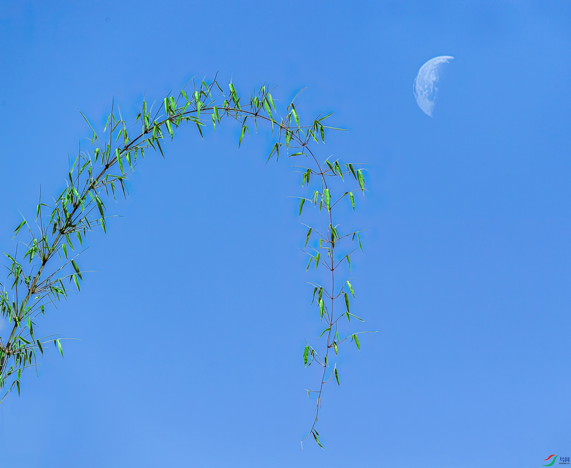 0_DSC5618-gigapixel-art-width-1920px.jpg