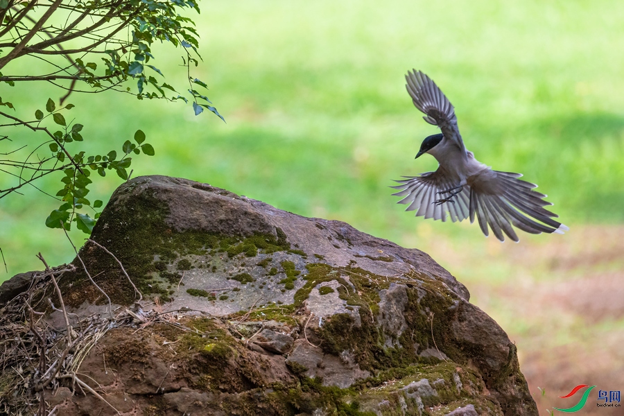 DSC_5119a.jpg