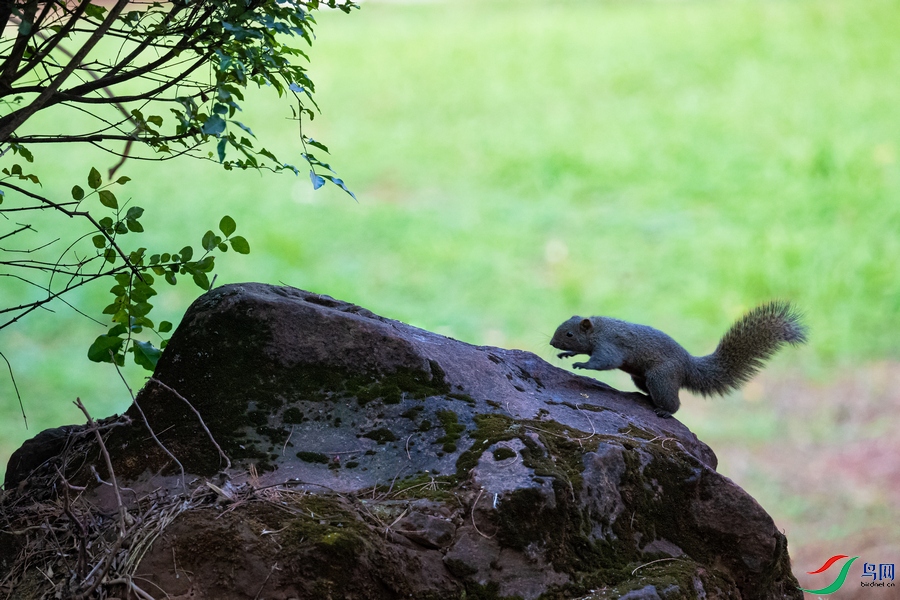 DSC_5128a.jpg
