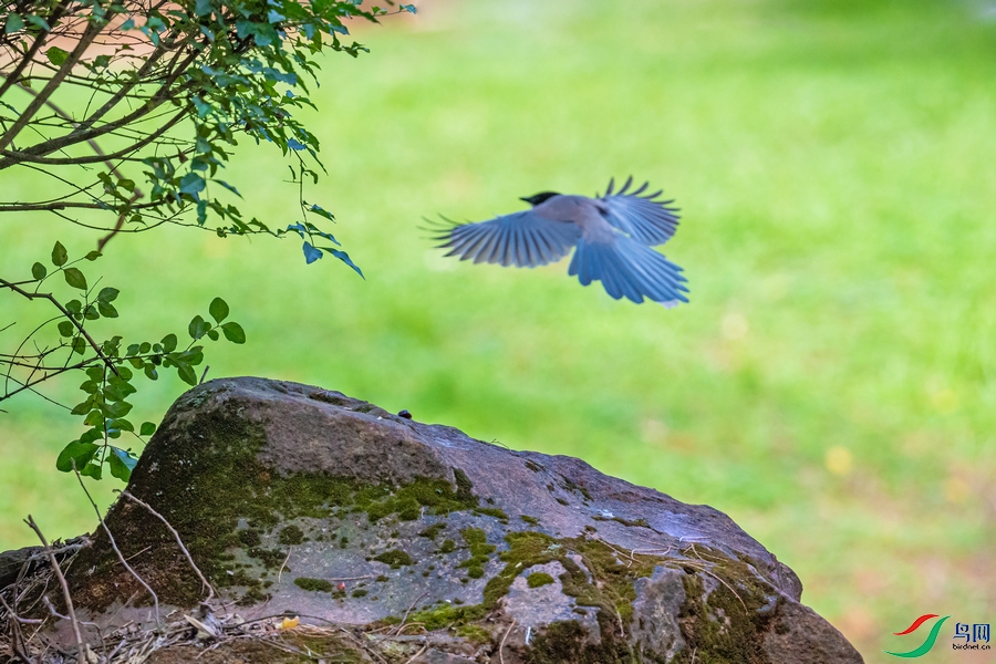DSC_5054a.jpg