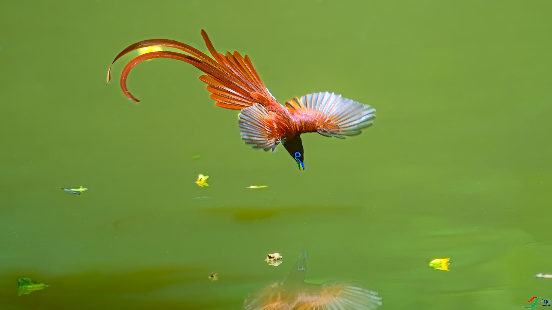DSC_4017==4w.jpg