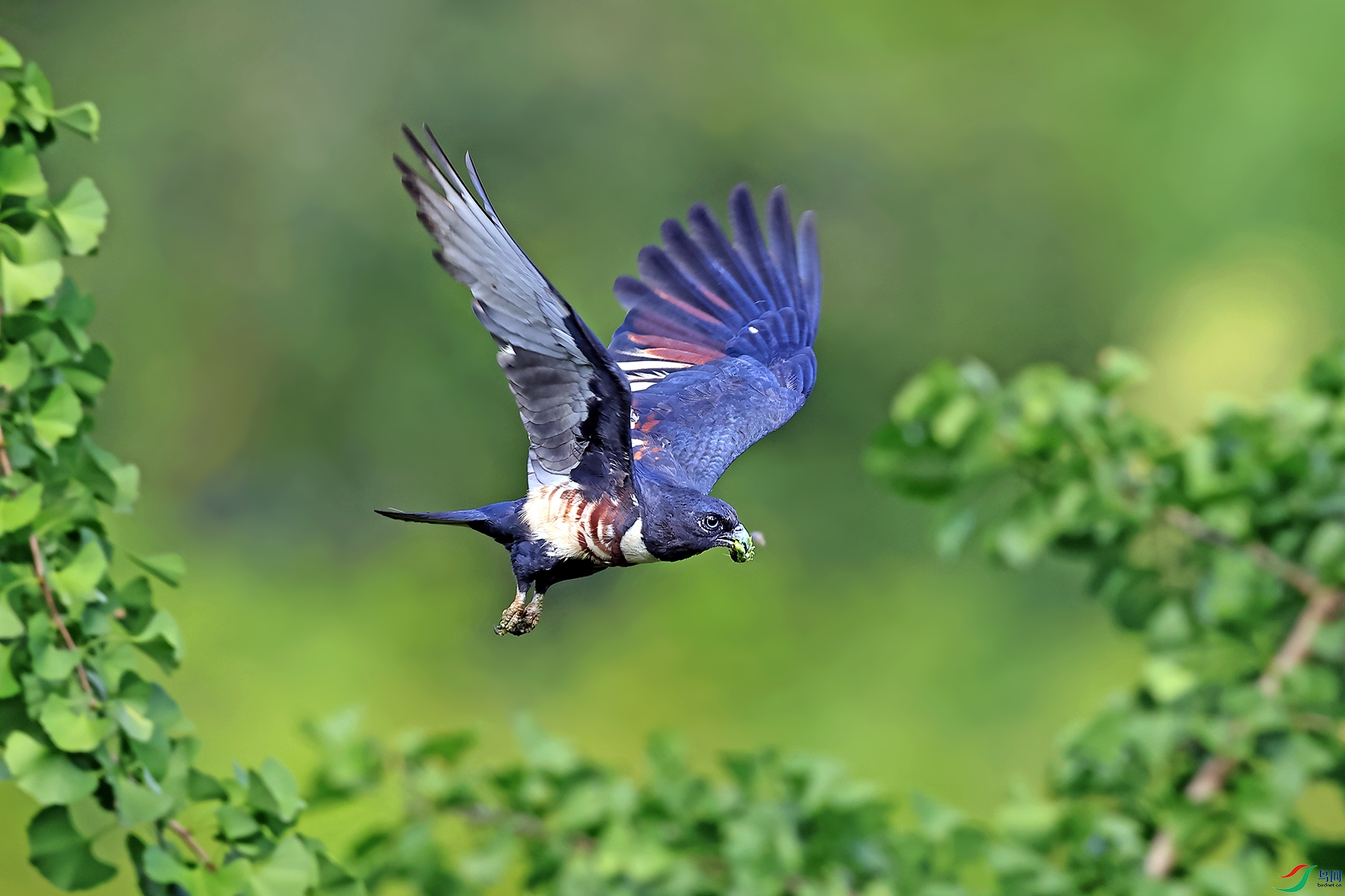 �ڹھ���055-1.jpg