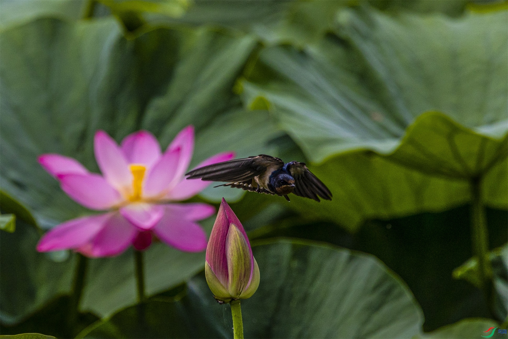 1K3A5026 ����1.jpg