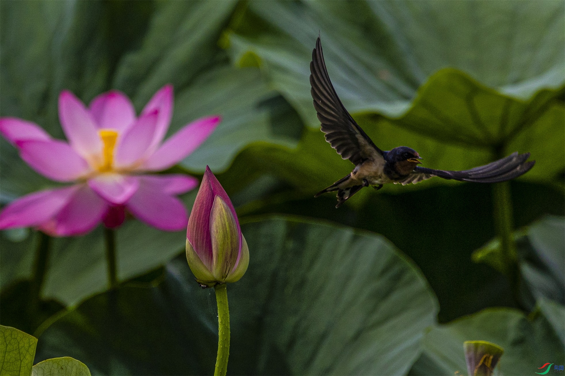 1K3A5028 ����1.jpg