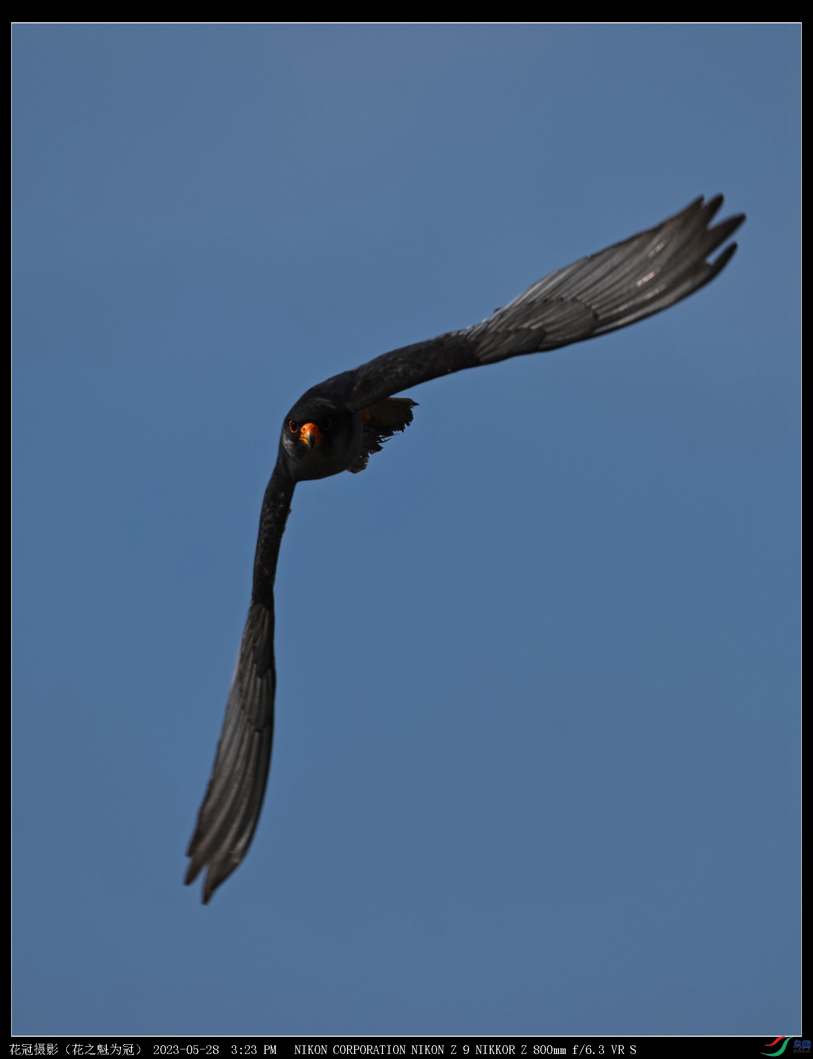 DSC_6200B-2_����.jpg