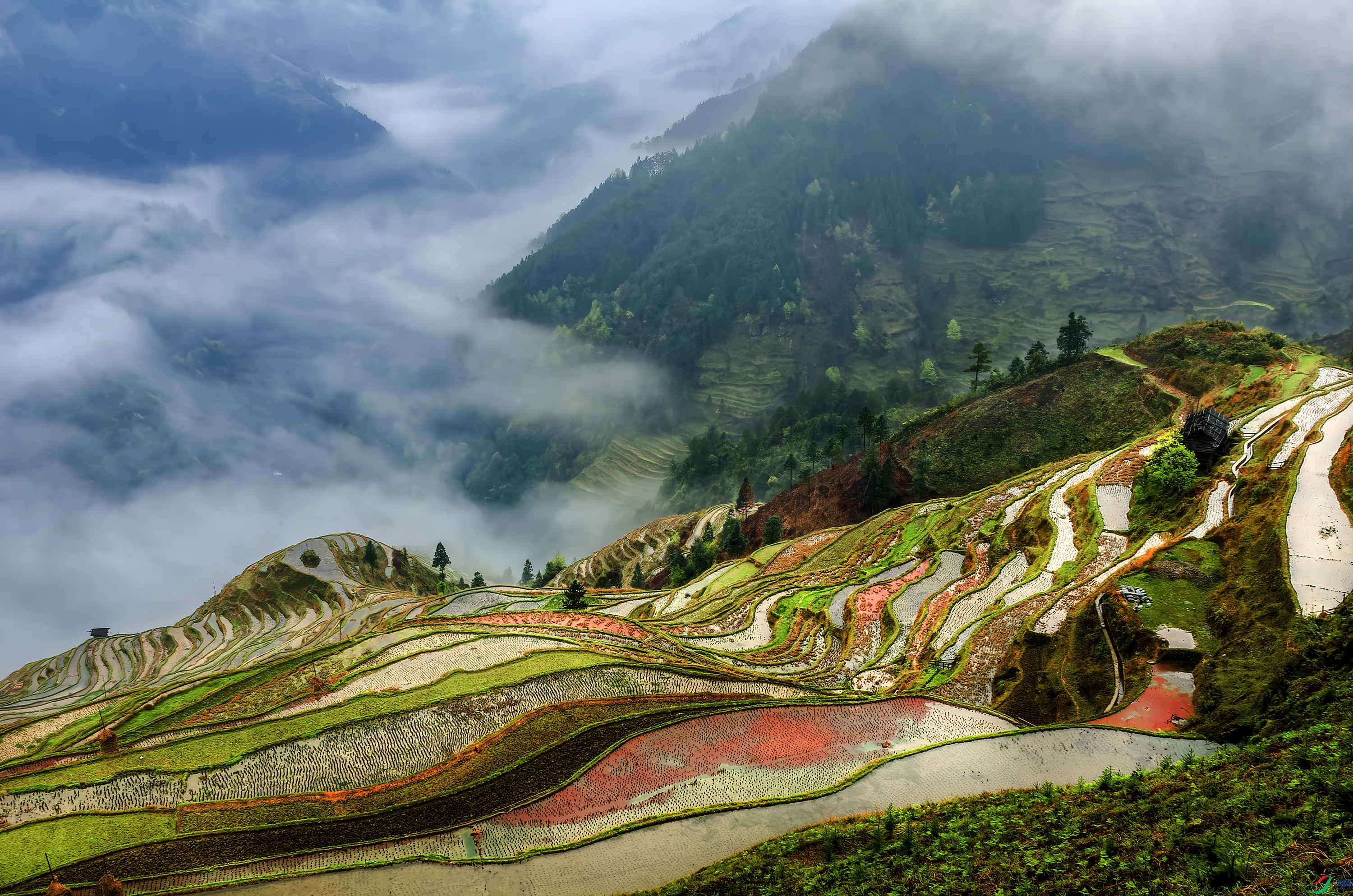 DSC_2492 - �Ӱ�����BB.jpg