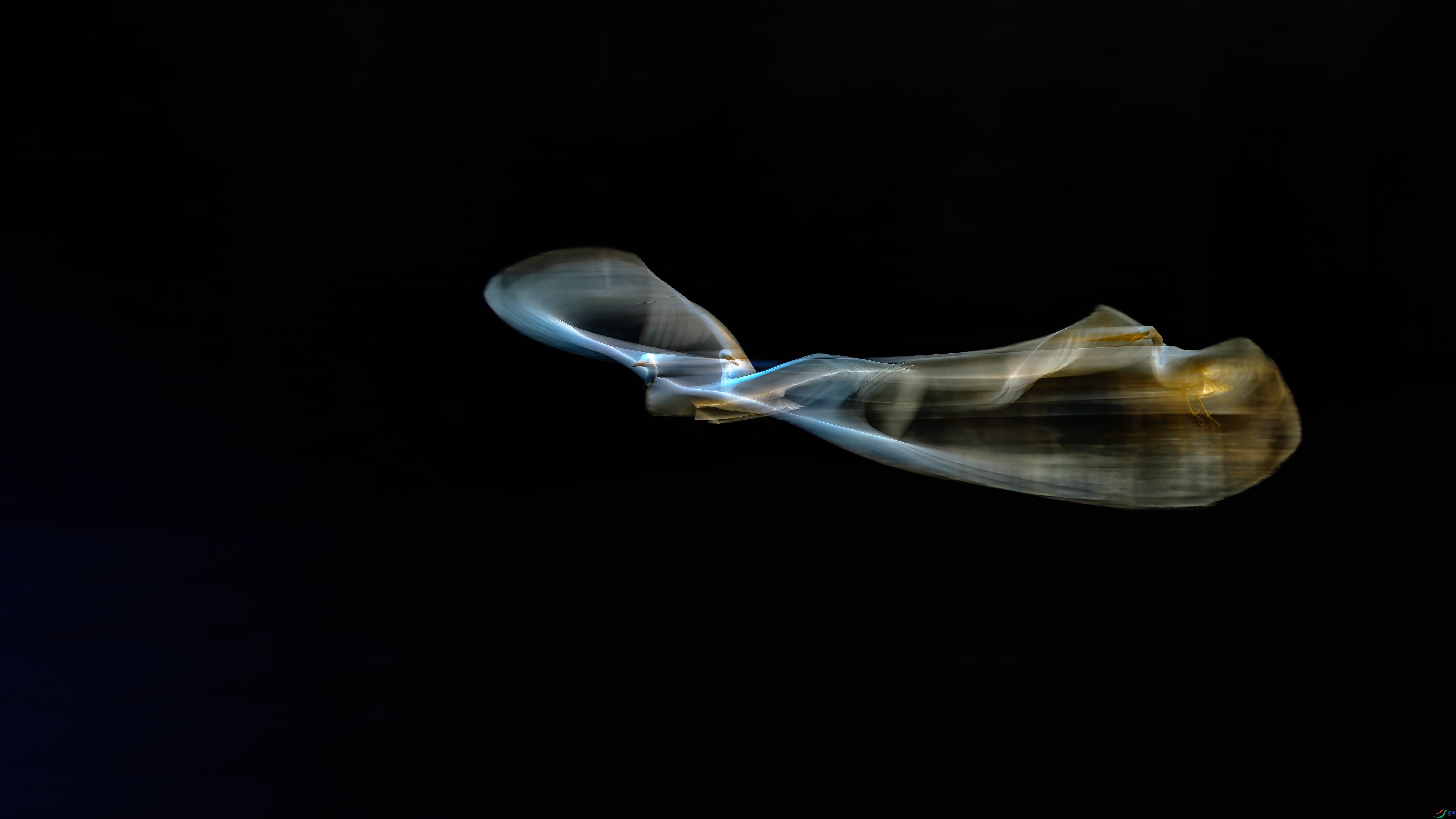 _B5A7223-2.jpg