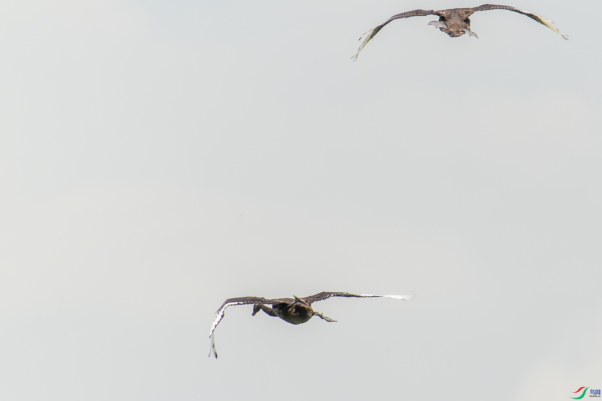 DSC01021-1.jpg