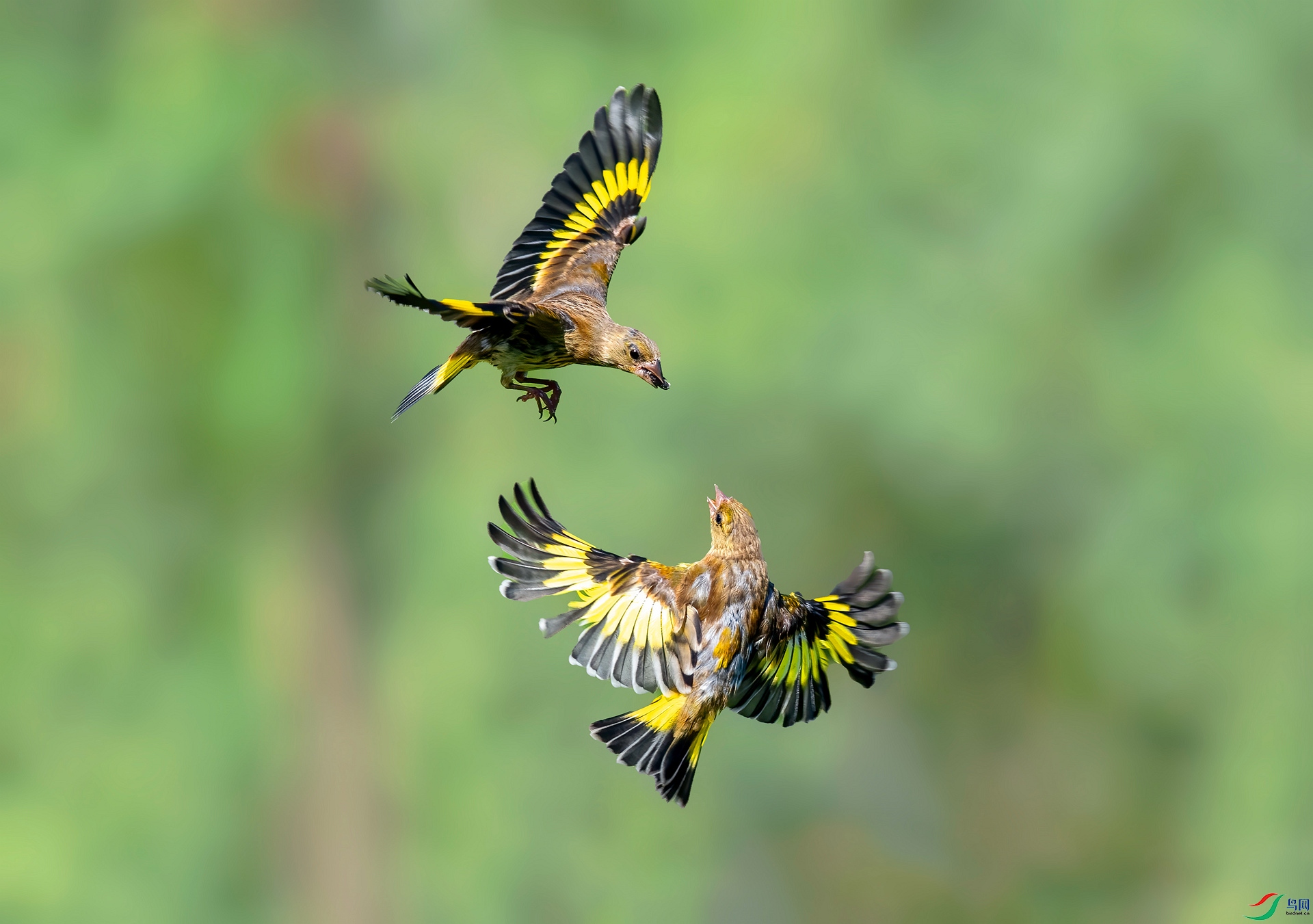 DSC_6548 ����_����.jpg