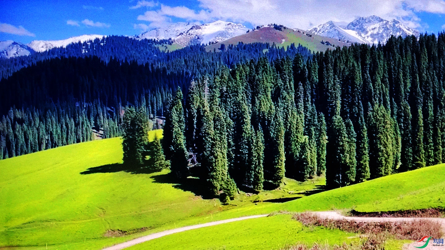 779 (66)_����.jpg