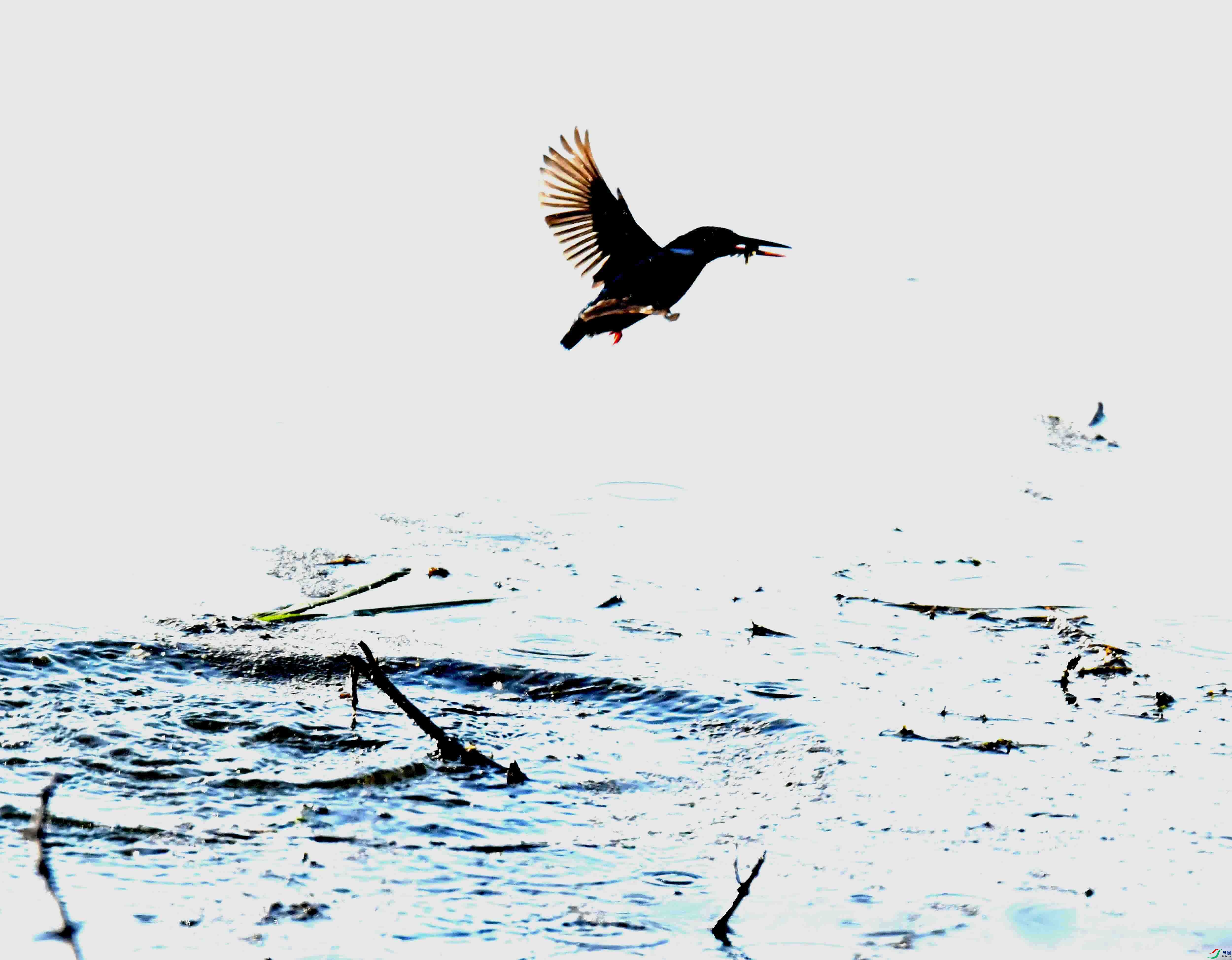 DSC_0157.JPG