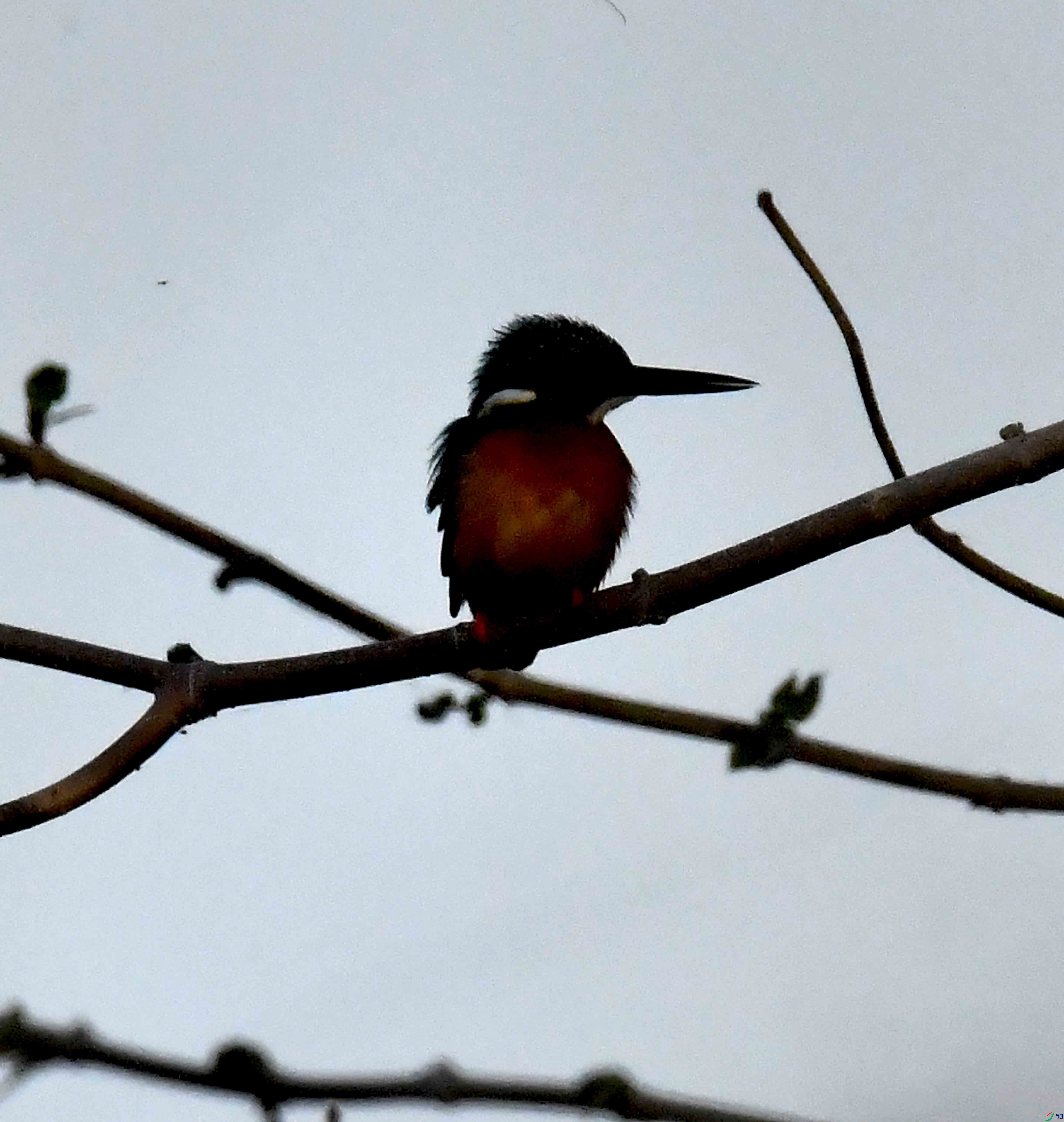 DSC_6151.JPG