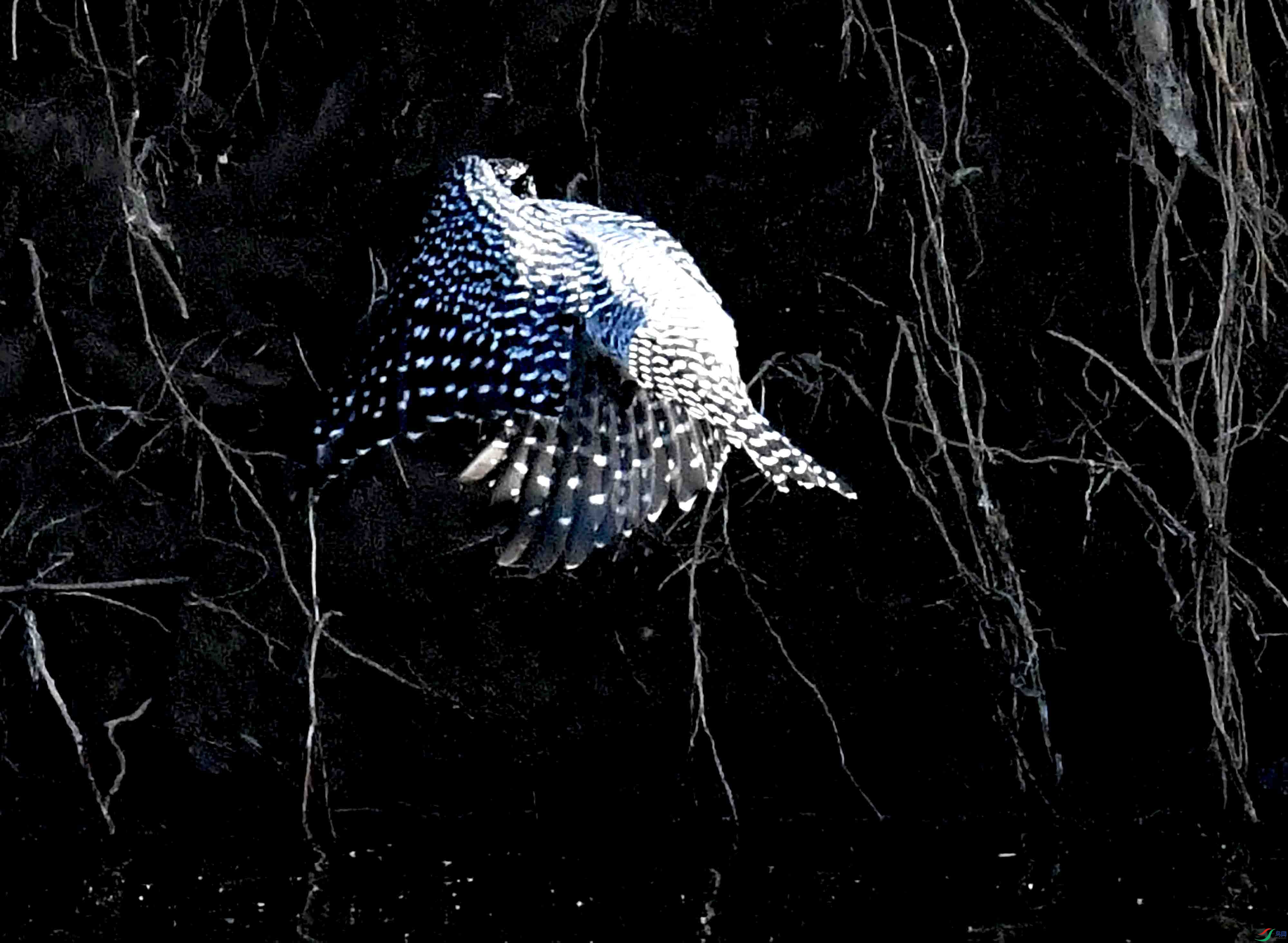 DSC_3789.JPG