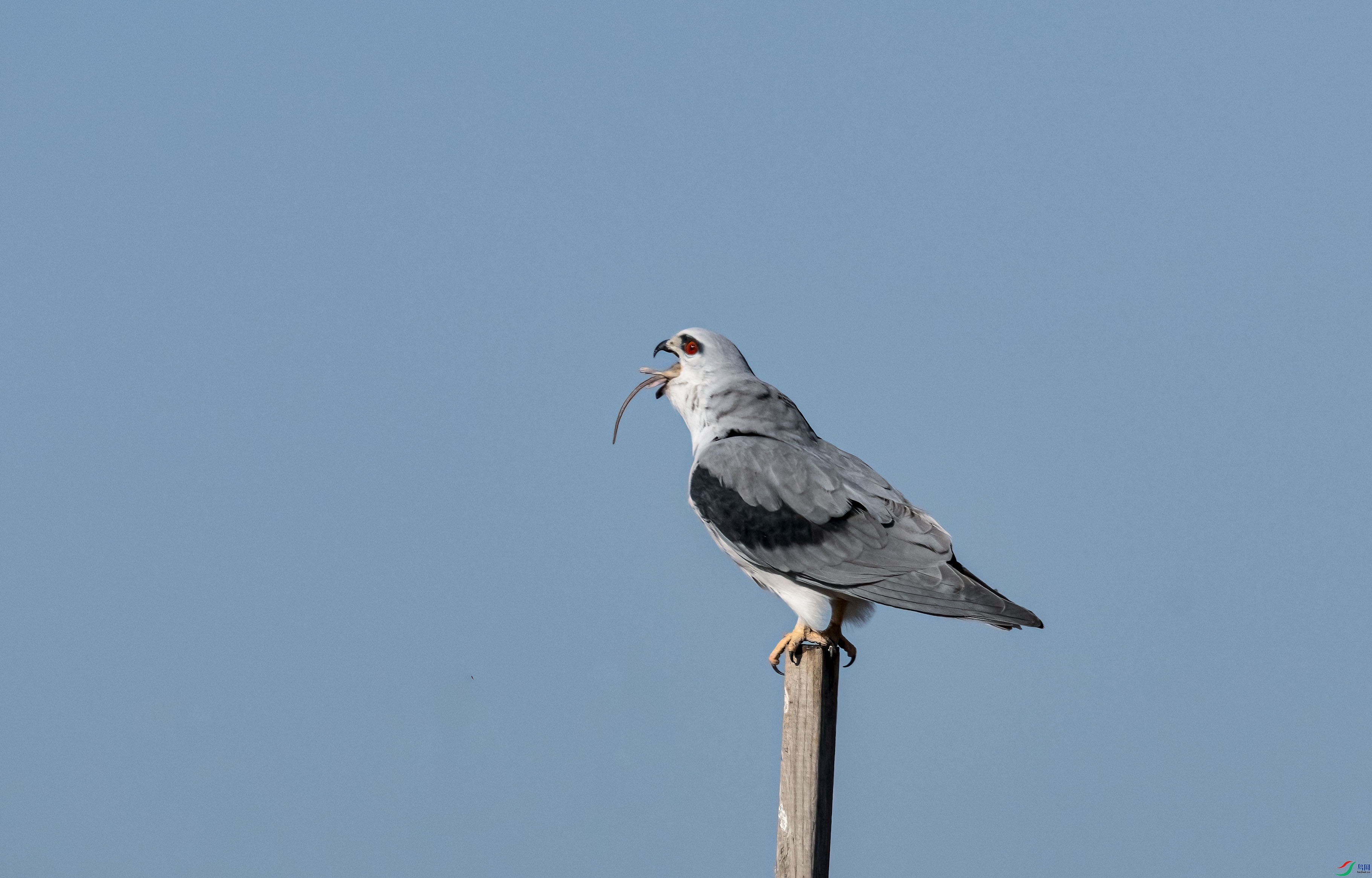 DSC_5776.jpg