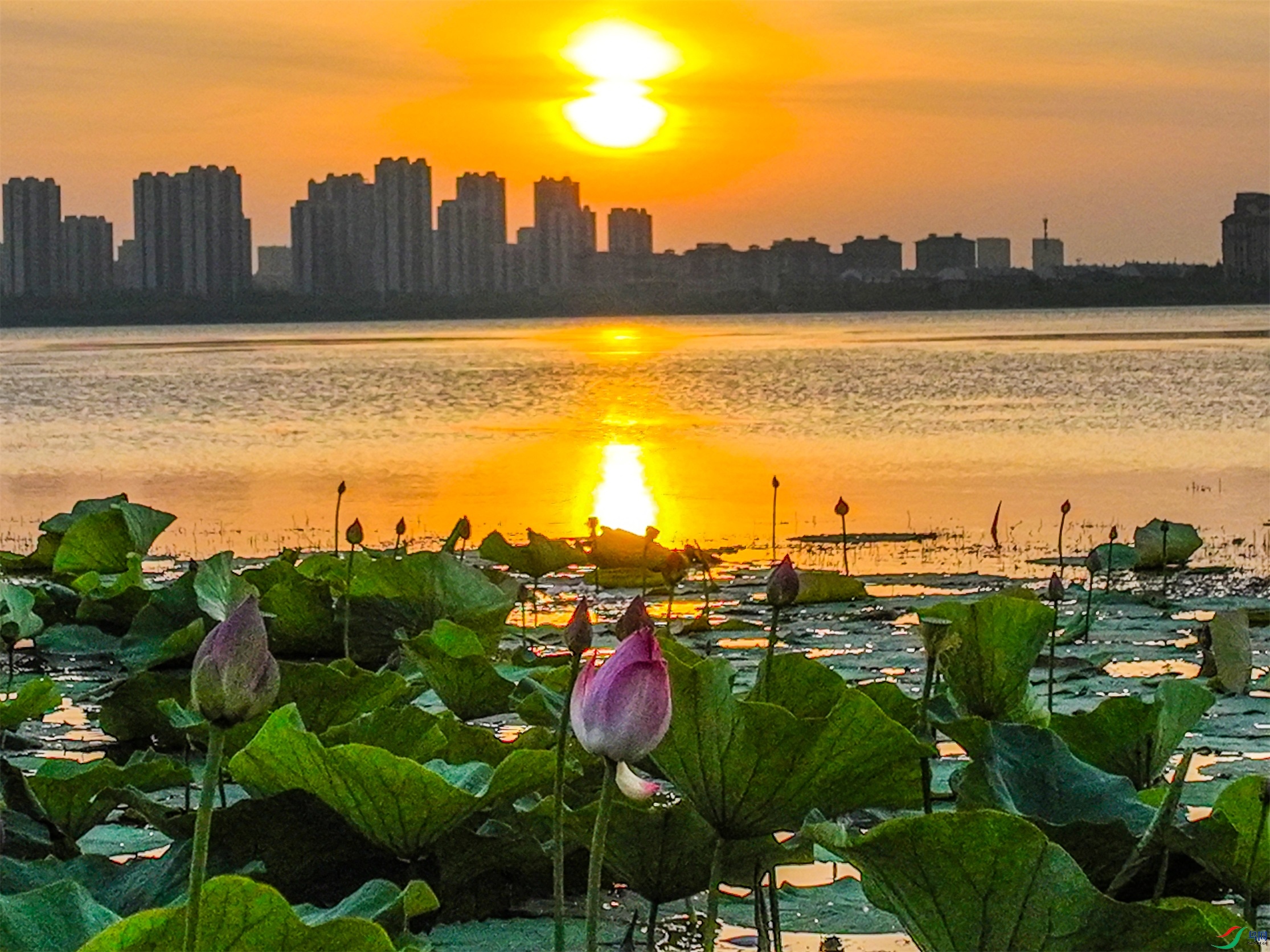 dji_fly_20230801_044412_697_1690836759828_photo ����1.jpg