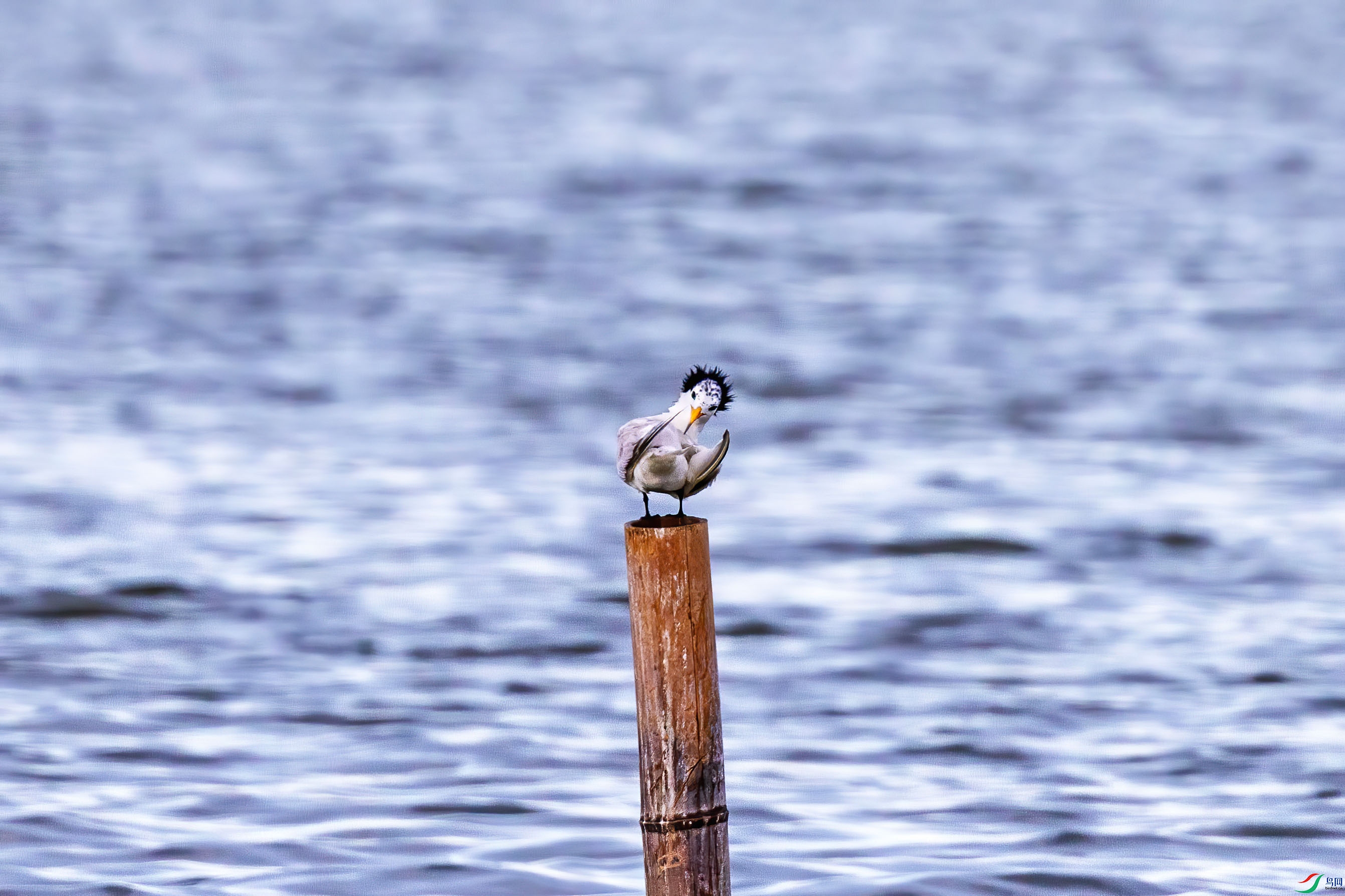 3F8A0792 ���� 2.jpg